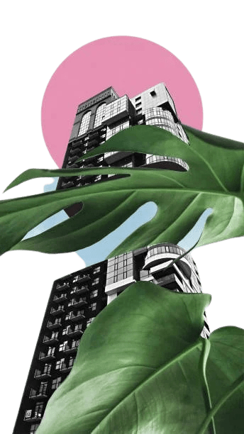 A tall modern building with a pink circular background and large green leaves in front.