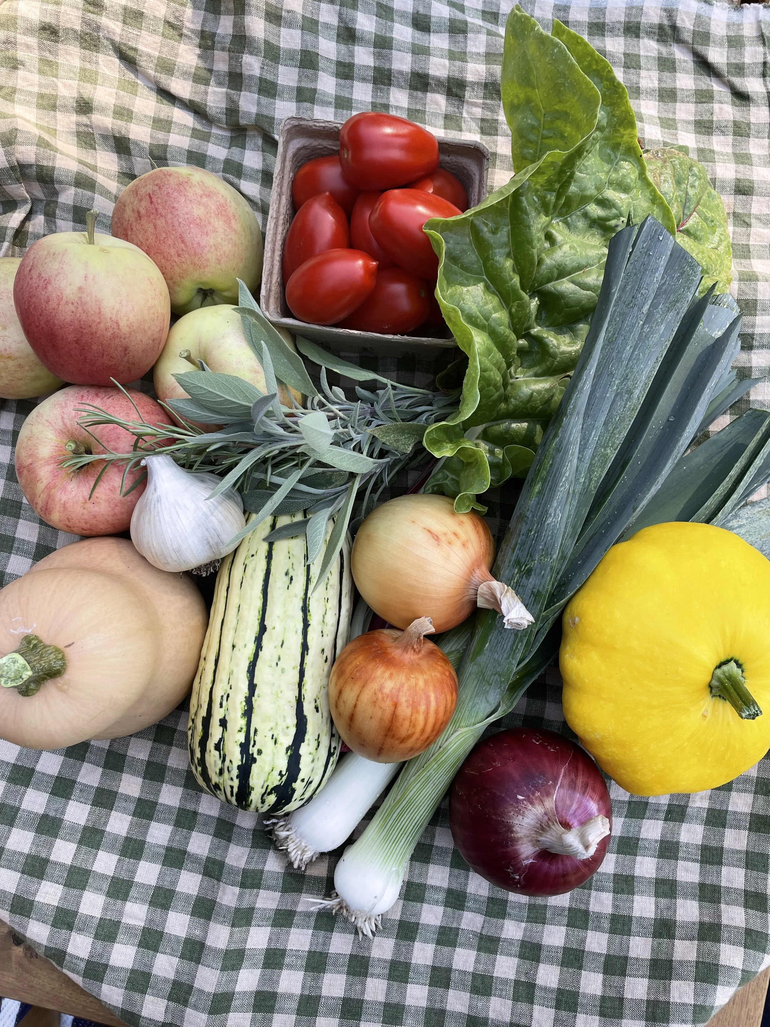 Harvest Farm Box -SMALL - 6 week subscription 2026