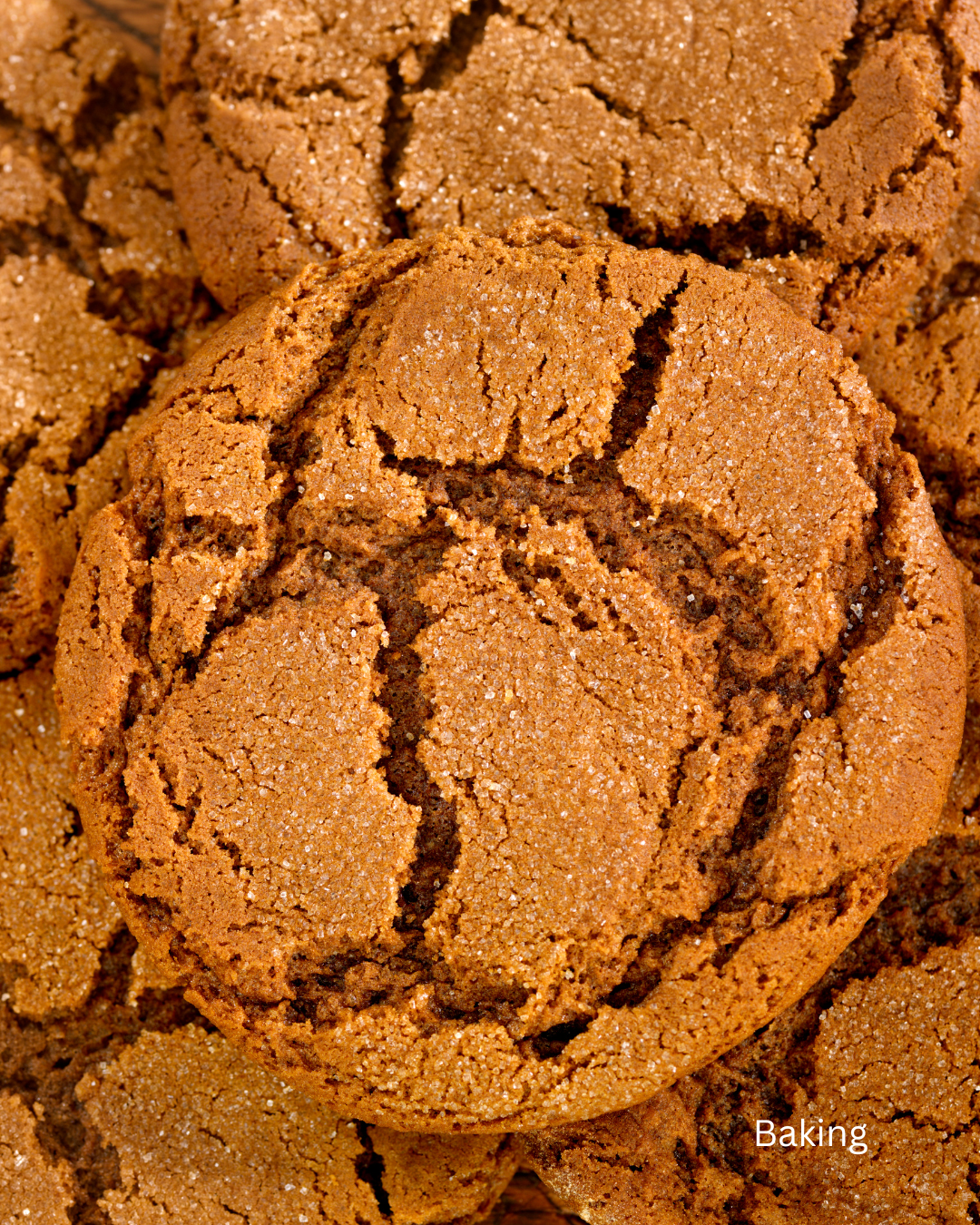 Ginger Molasses Cookies- 4 pack