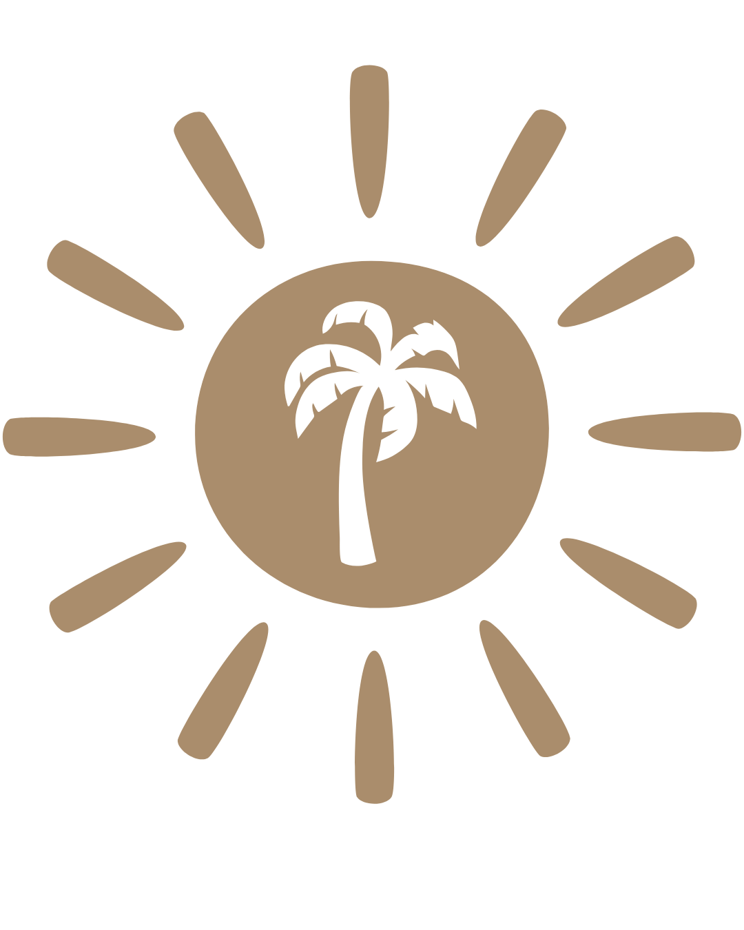 Linda Vista Studio | Marketing Digital Huatulco