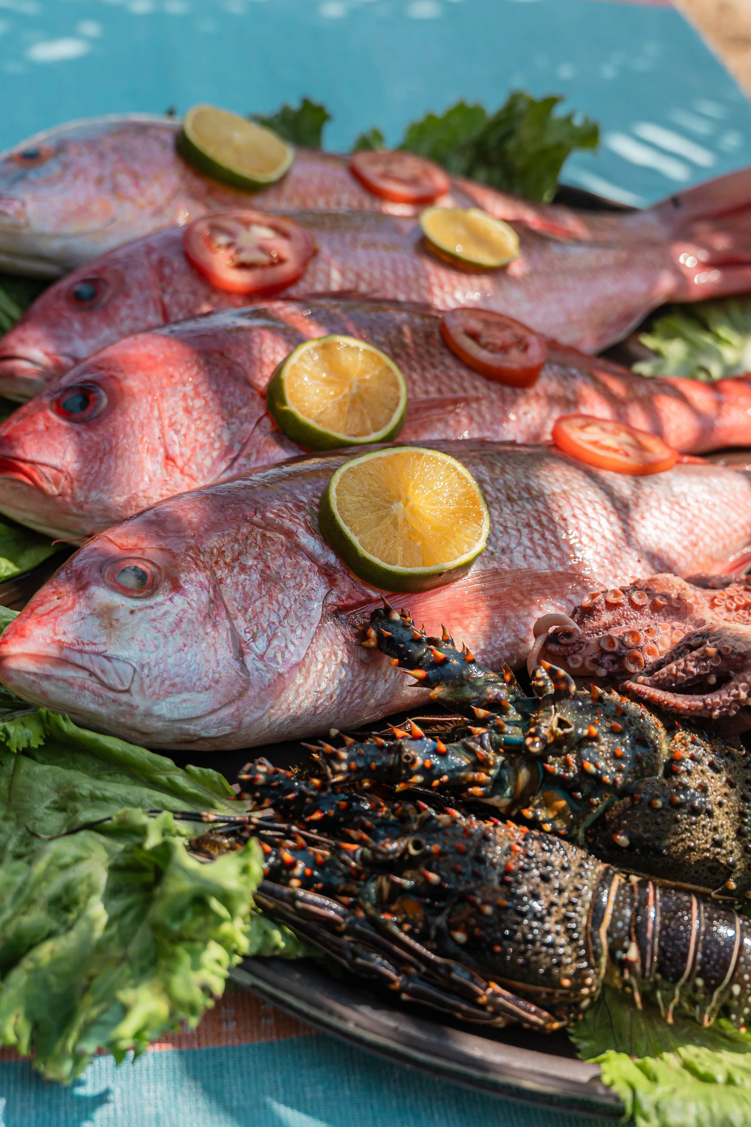 fotografia-alimentos-pescados-y-mariscos-huatulco.jpg