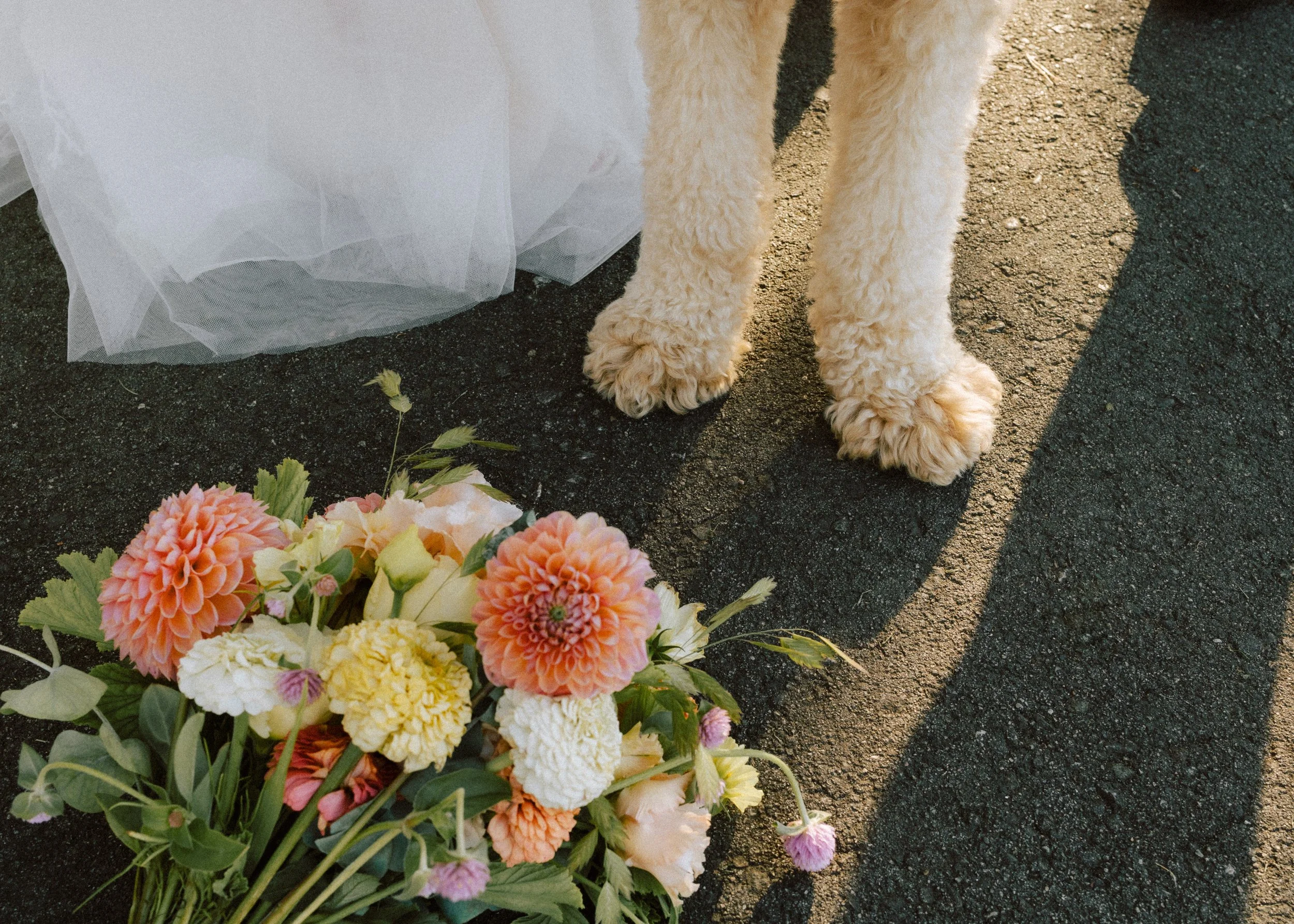 5-TS-Wedding-56.jpg