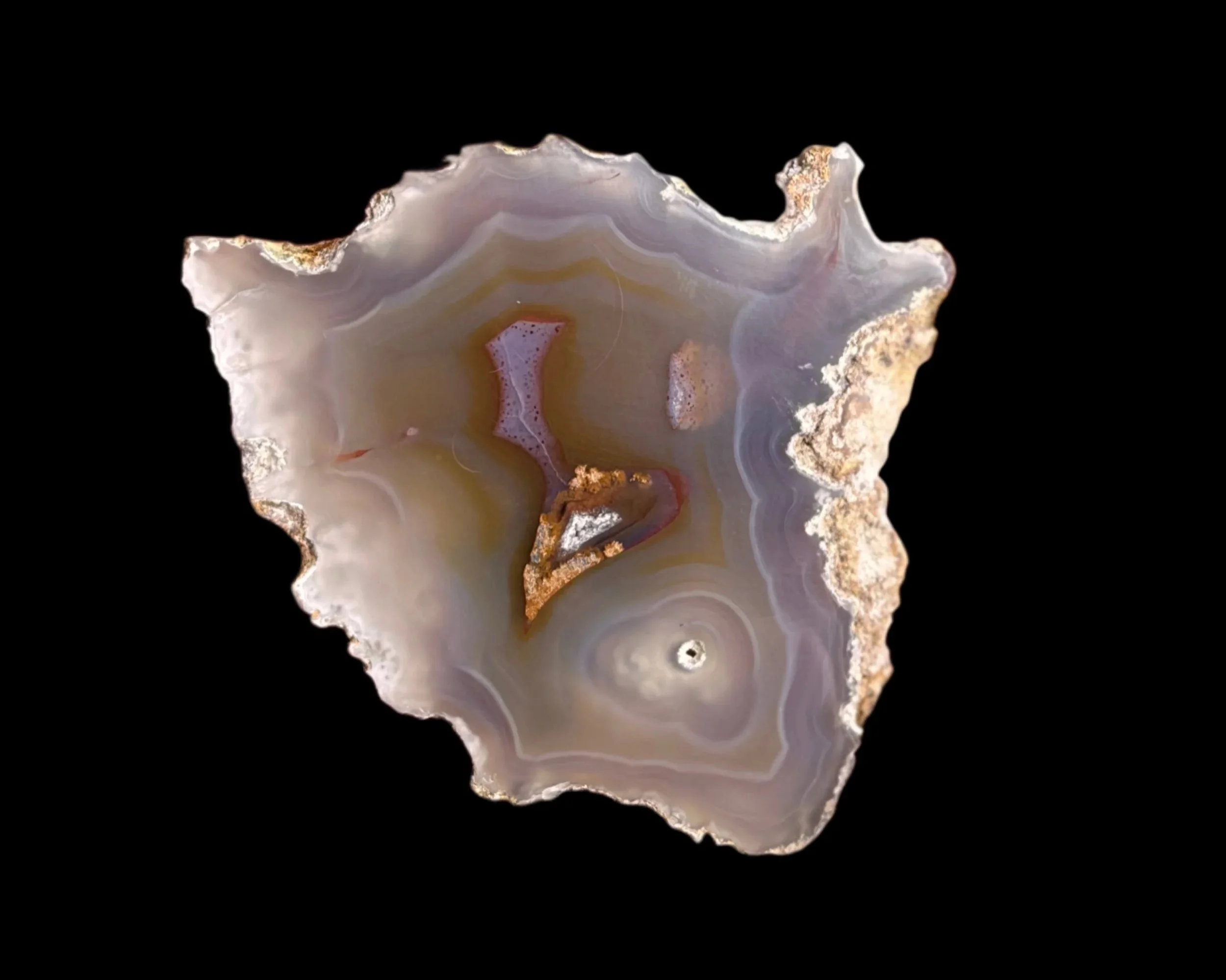 EFE77DA5-870D-46BA-99DF-1E5604B8FDCC+2.jpg