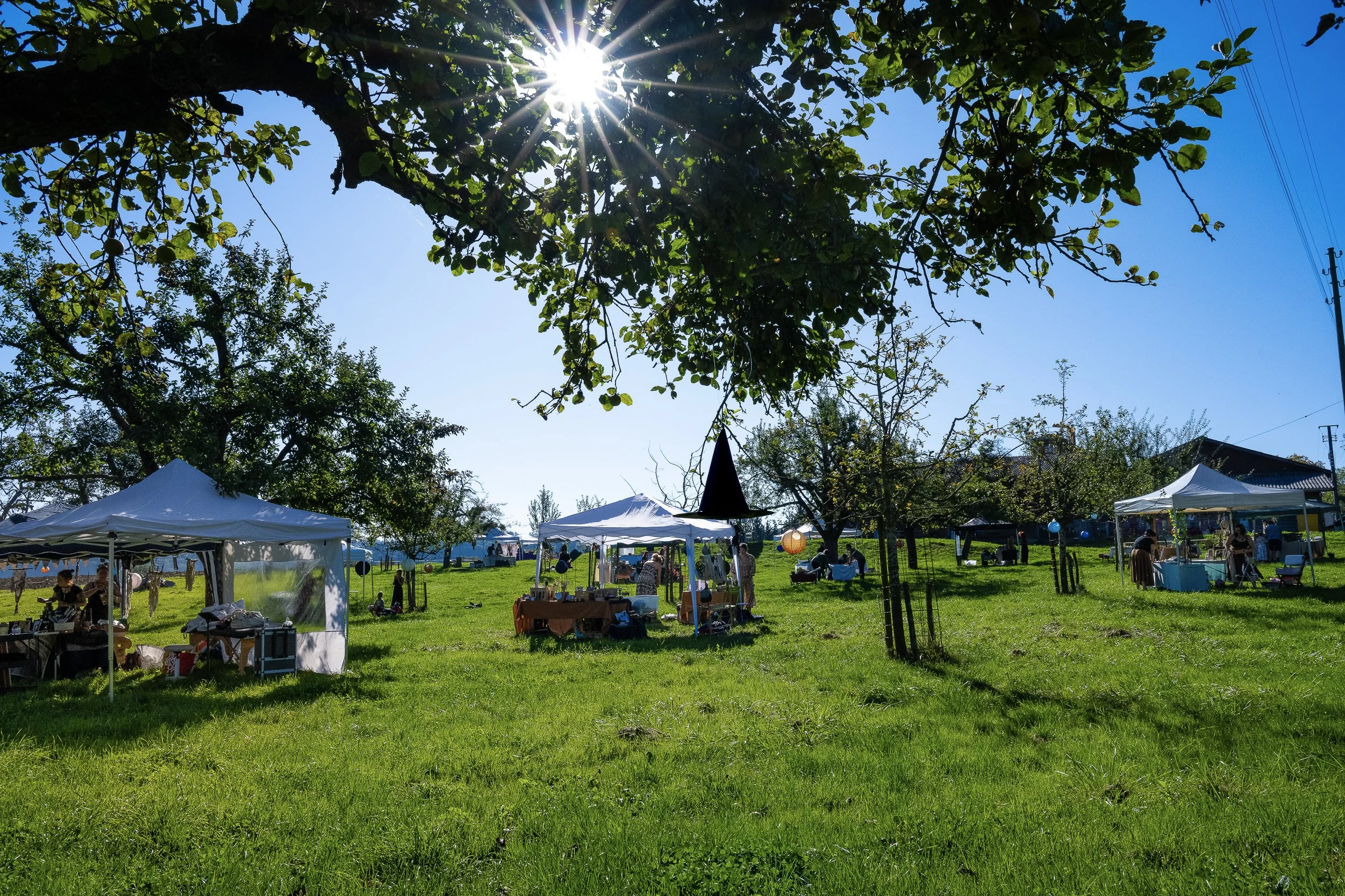 Festival des Sorcières de Mabon 