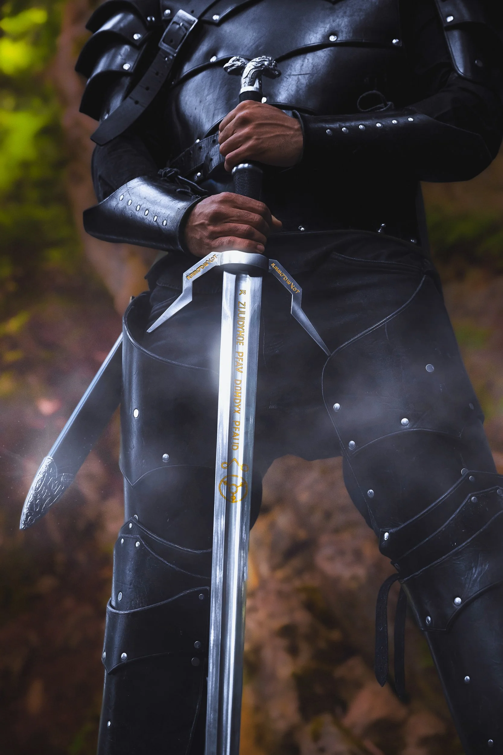 Personnage en armure noire médiévale, tenant une épée décorée, dans un environnement forestier