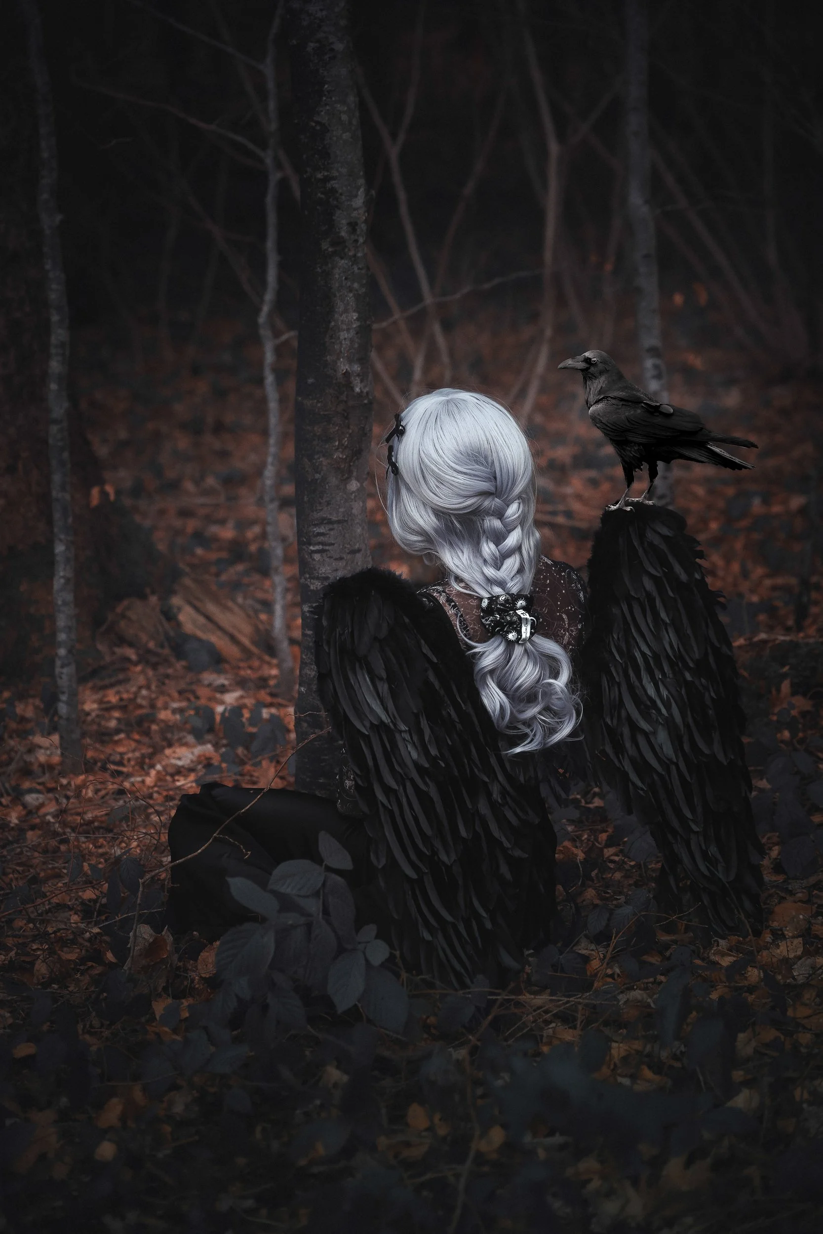 Une personne avec des cheveux argentés tressés, vêtue de vêtements sombres, avec des ailes noires, est assise dans une forêt sombre. Elle a un corbeau sur l'épaule ou juste derrière elle, avec des arbres et des feuilles mortes en arrière-plan.