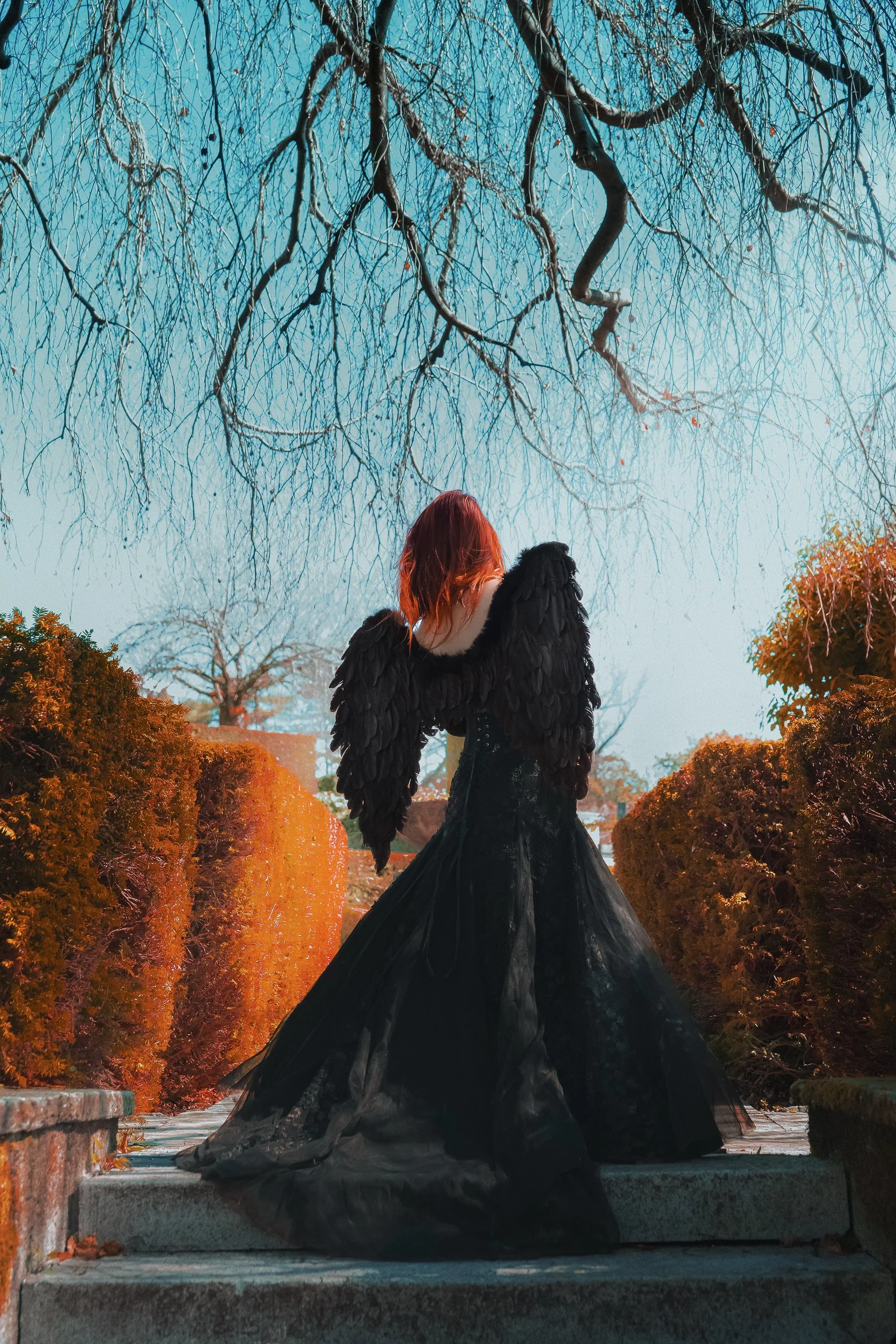 Femme portant une robe noire longue et une cape noire aux plumes, vue de dos, dans un parc avec des buissons orangés et un arbre sans feuilles dont les branches s'étendent dans le ciel bleu.