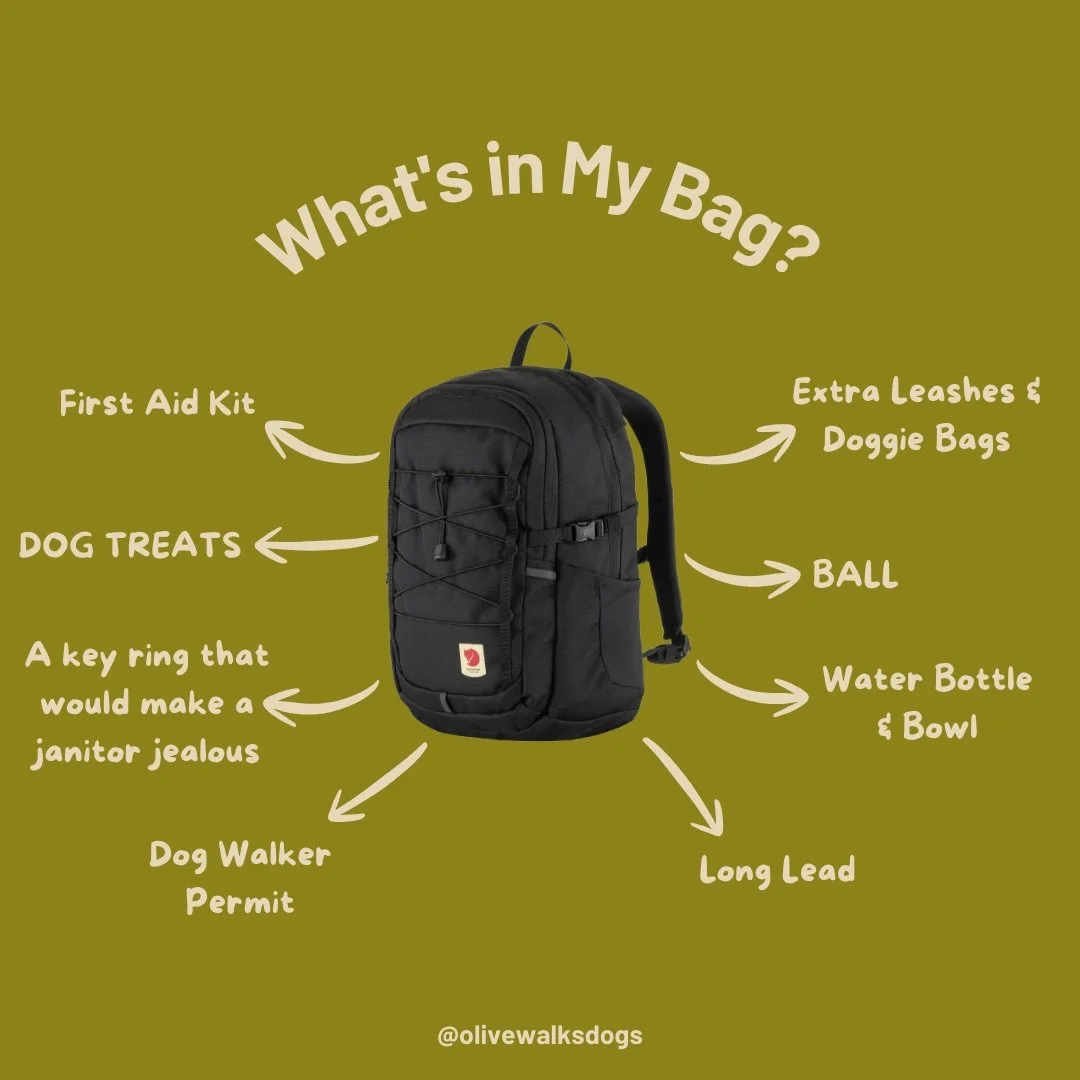 Dog walker starter pack by Olive&trade;️