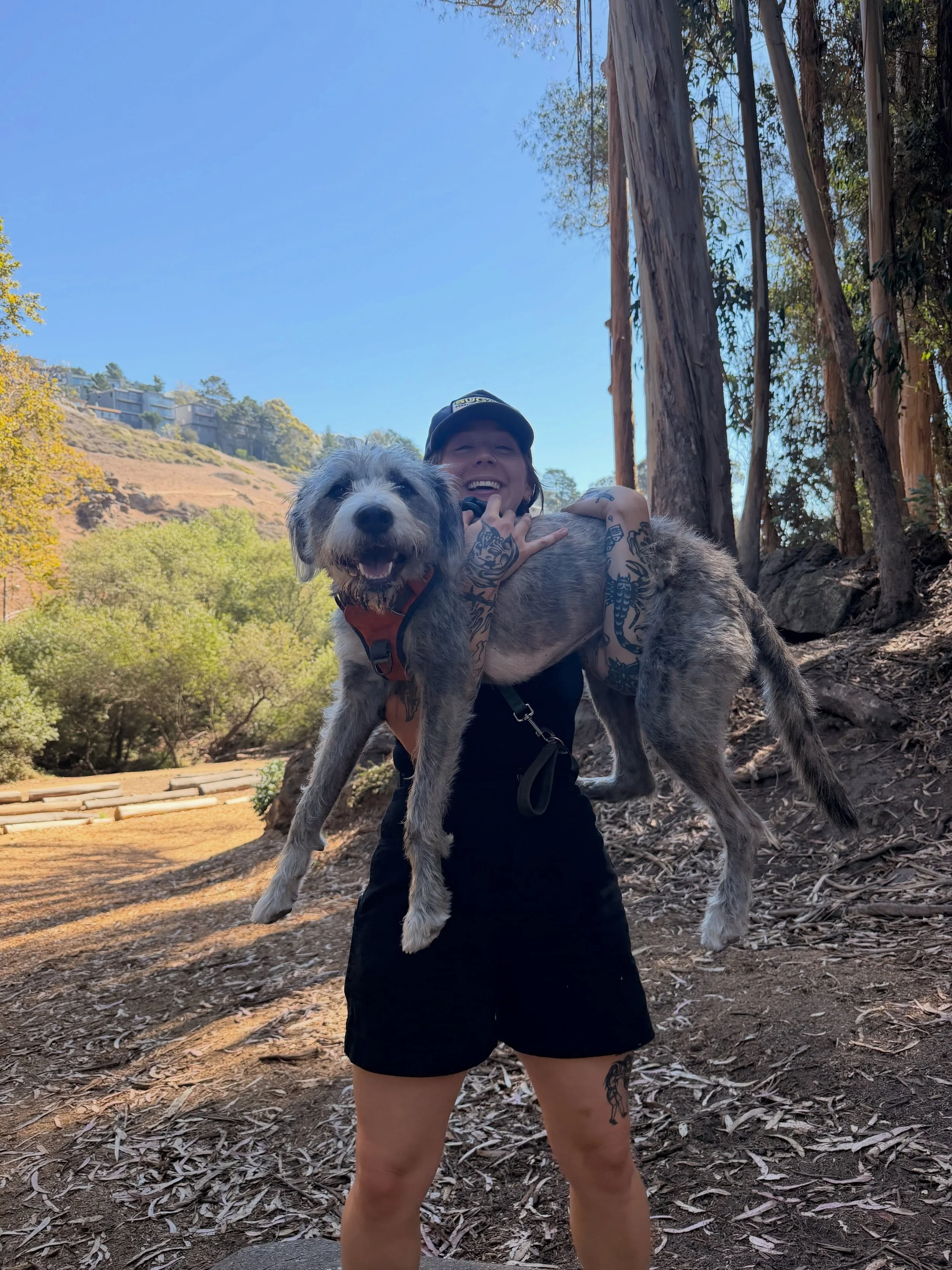 Olive Holds Dogs