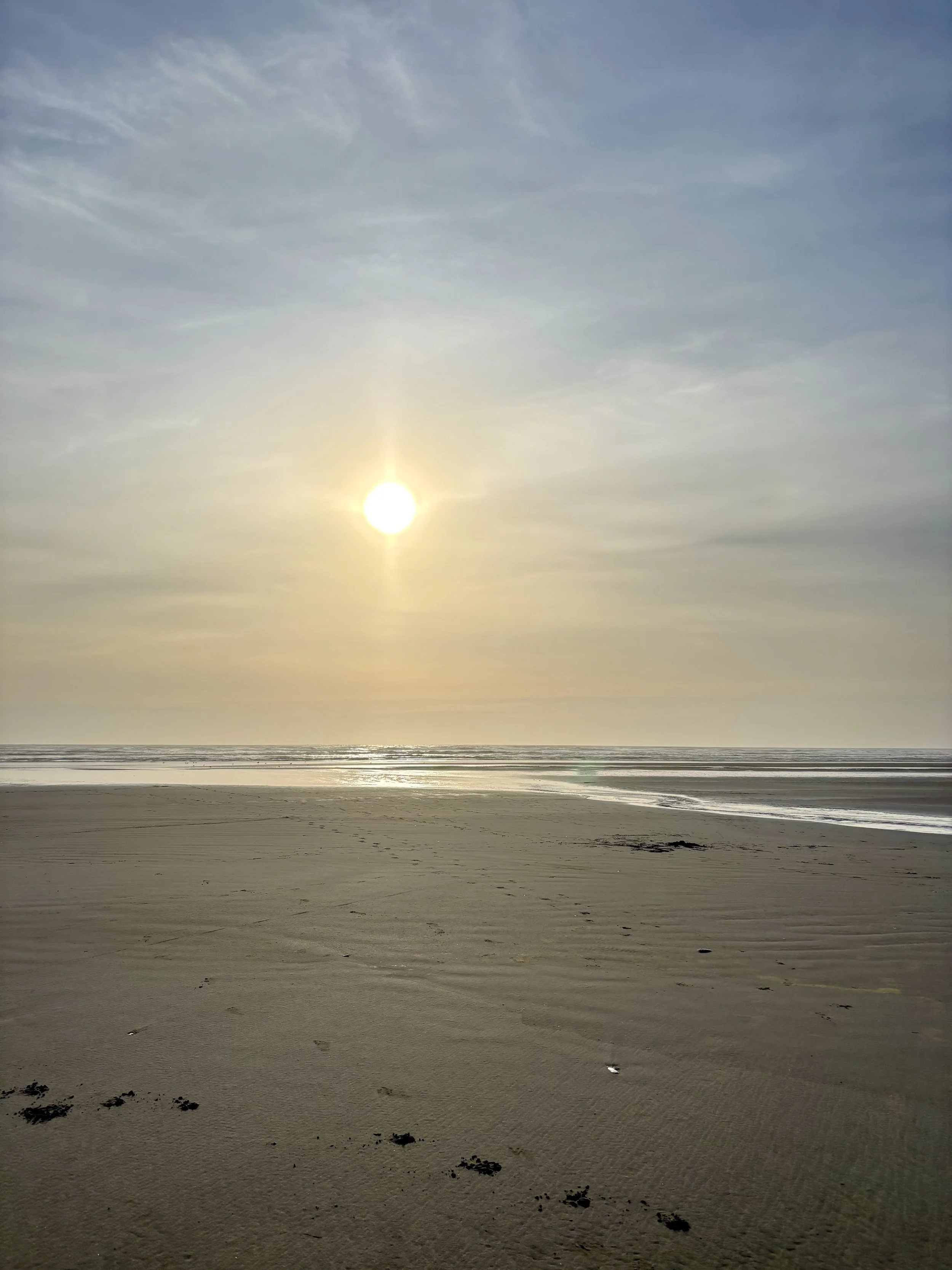 Planting the Seeds of an Honest Business