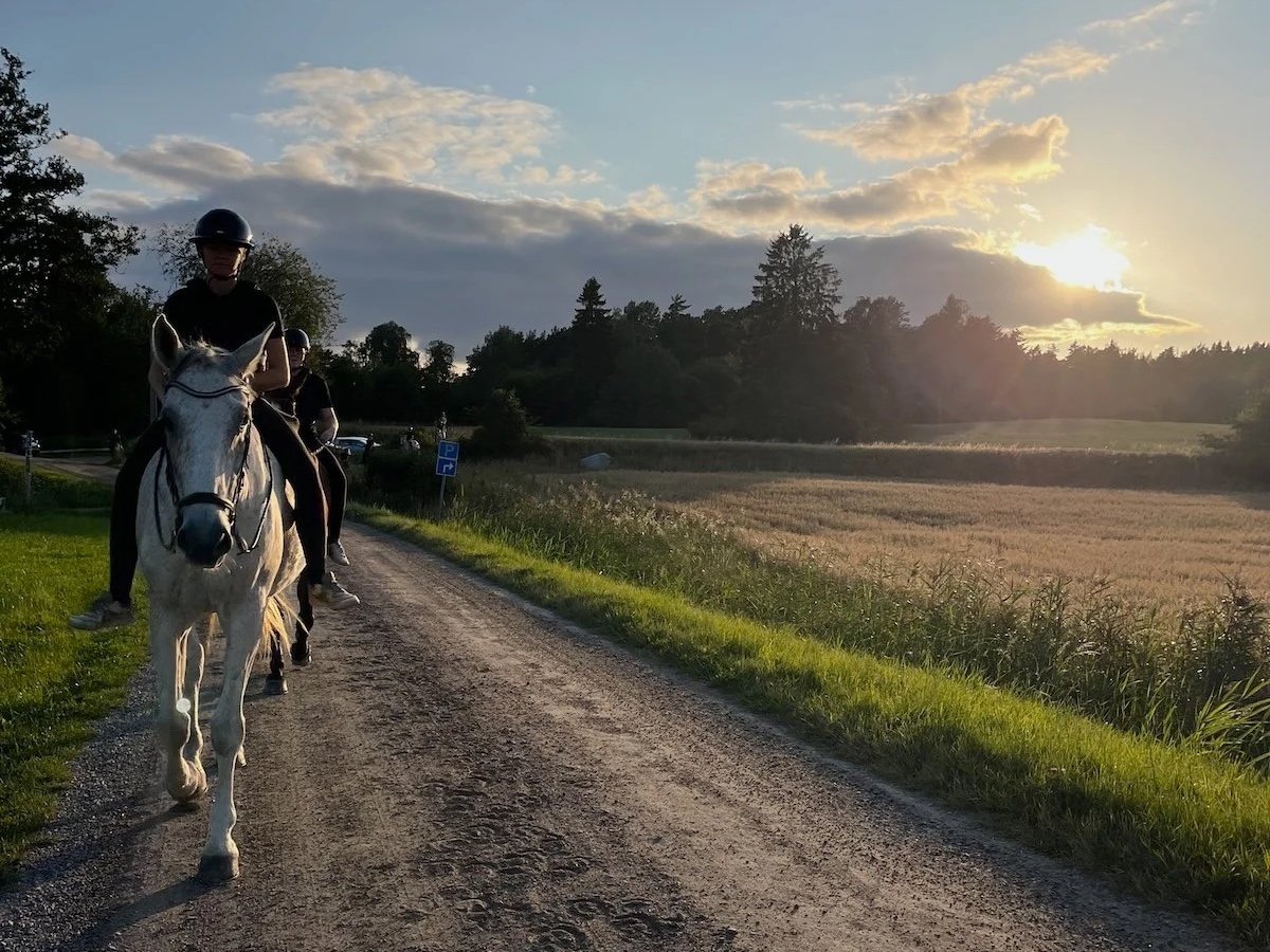 Sommarbete 2026