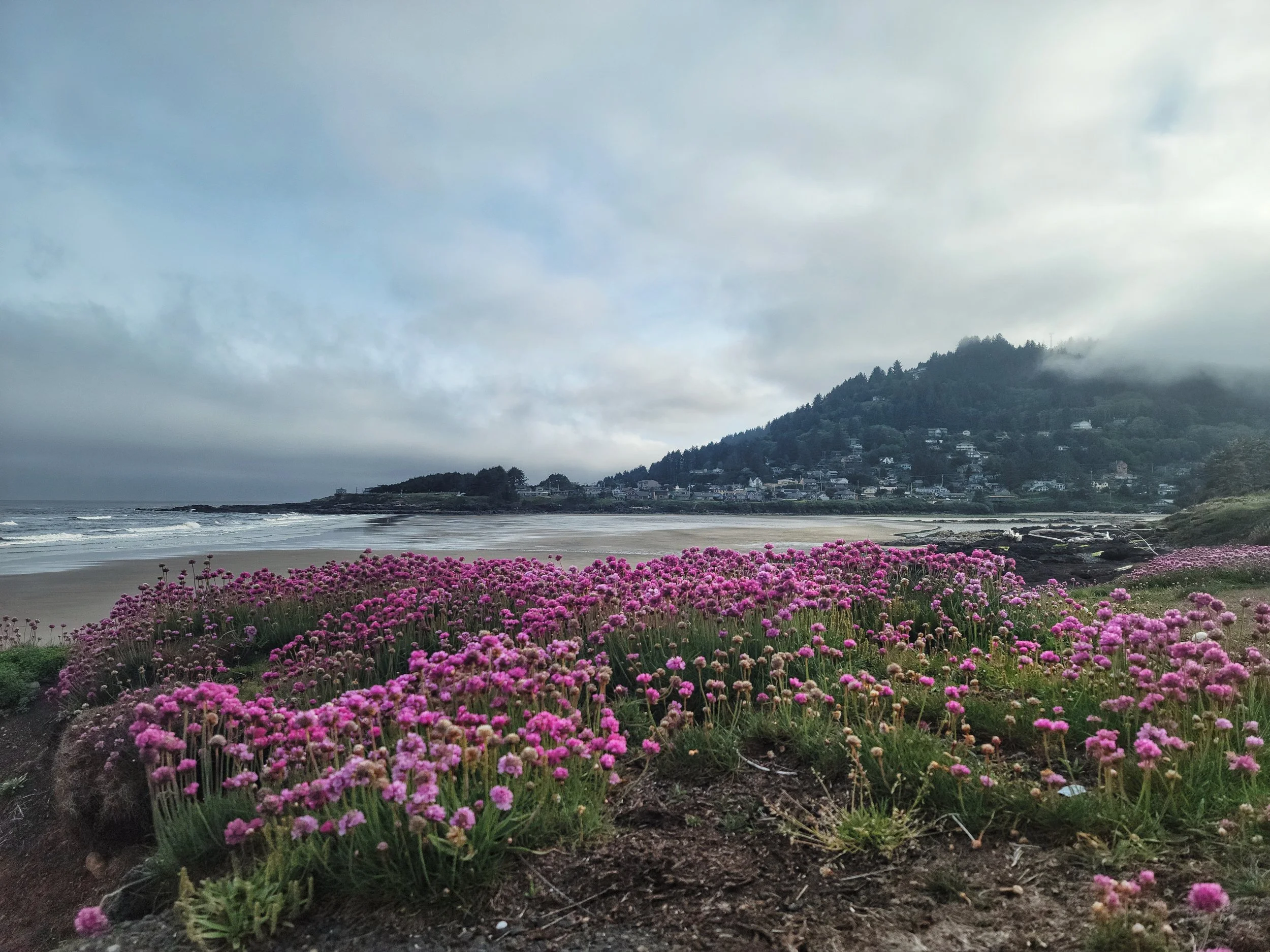 Beach with pink flowers in the foreground, ocean waves, a mountain partly covered with fog, and a hillside with houses.