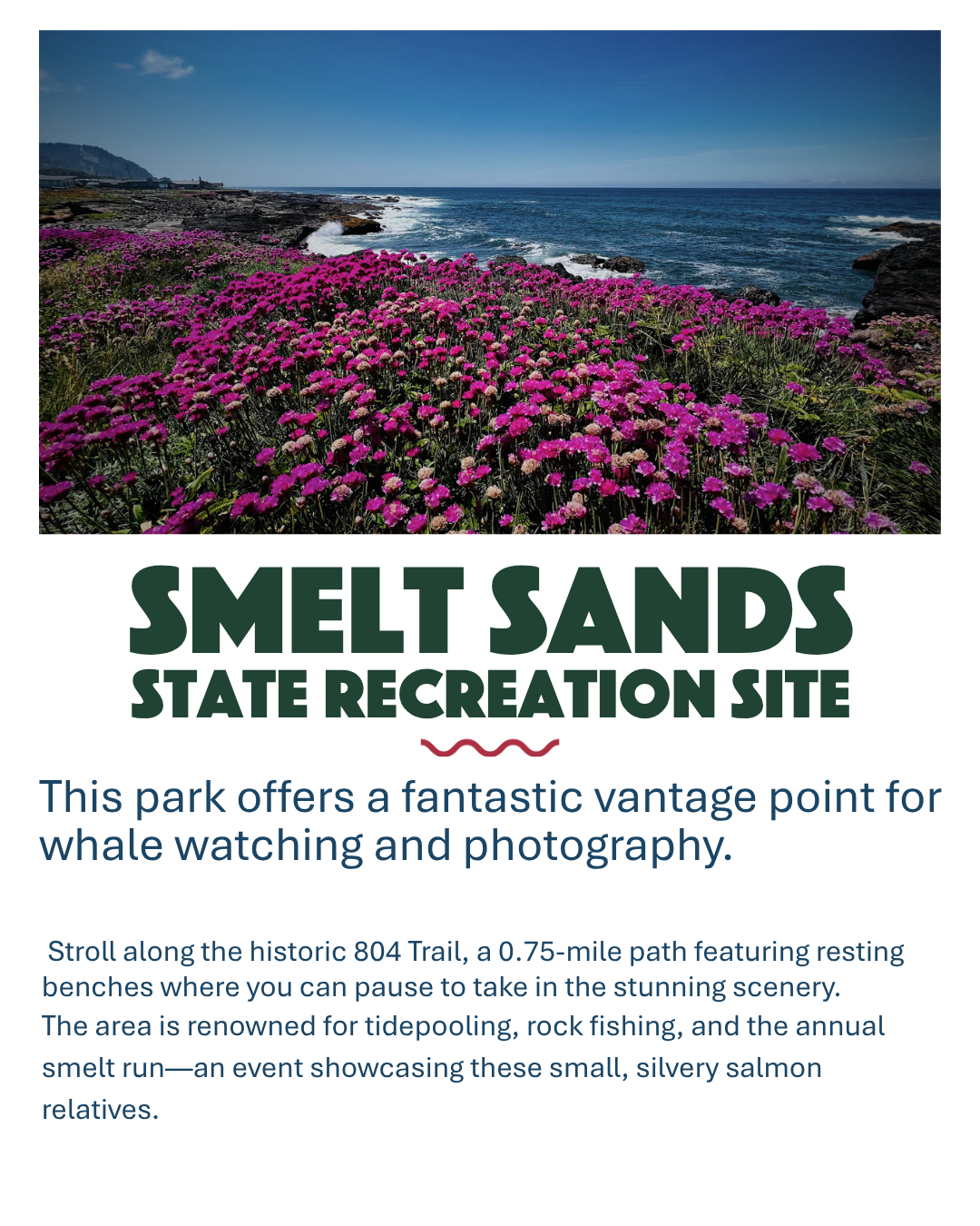 Smelt Sands Recreation Site in Yachats, Oregon. This park offers a fantastic vantage point for whale watching, storm watching and photography.