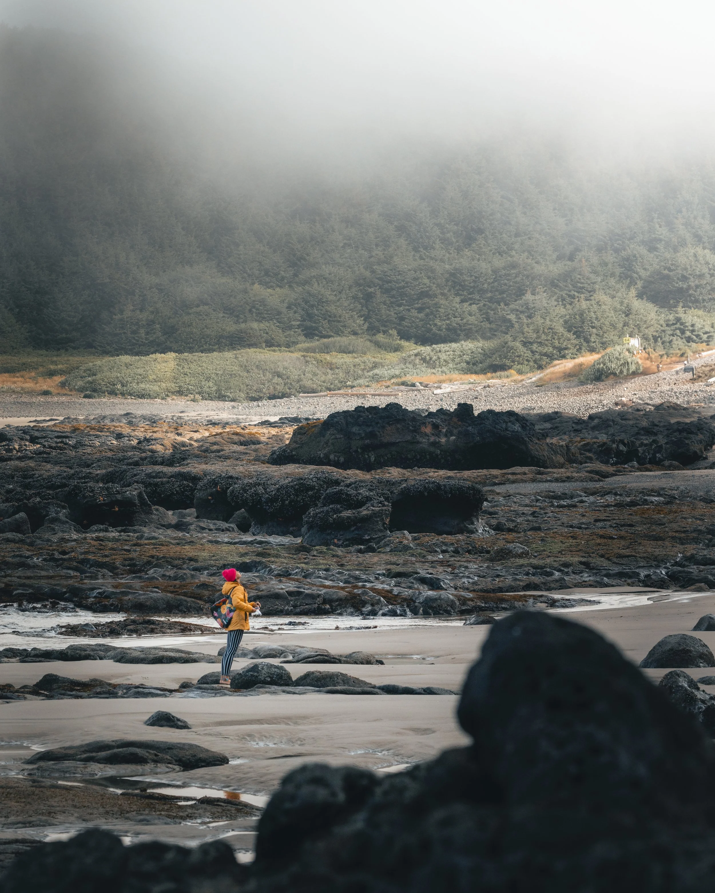 A person with a pink beanie, yellow jacket, striped pants, and a backpack walks on a rocky sandy beach with large dark rocks and a forested hillside in the background.