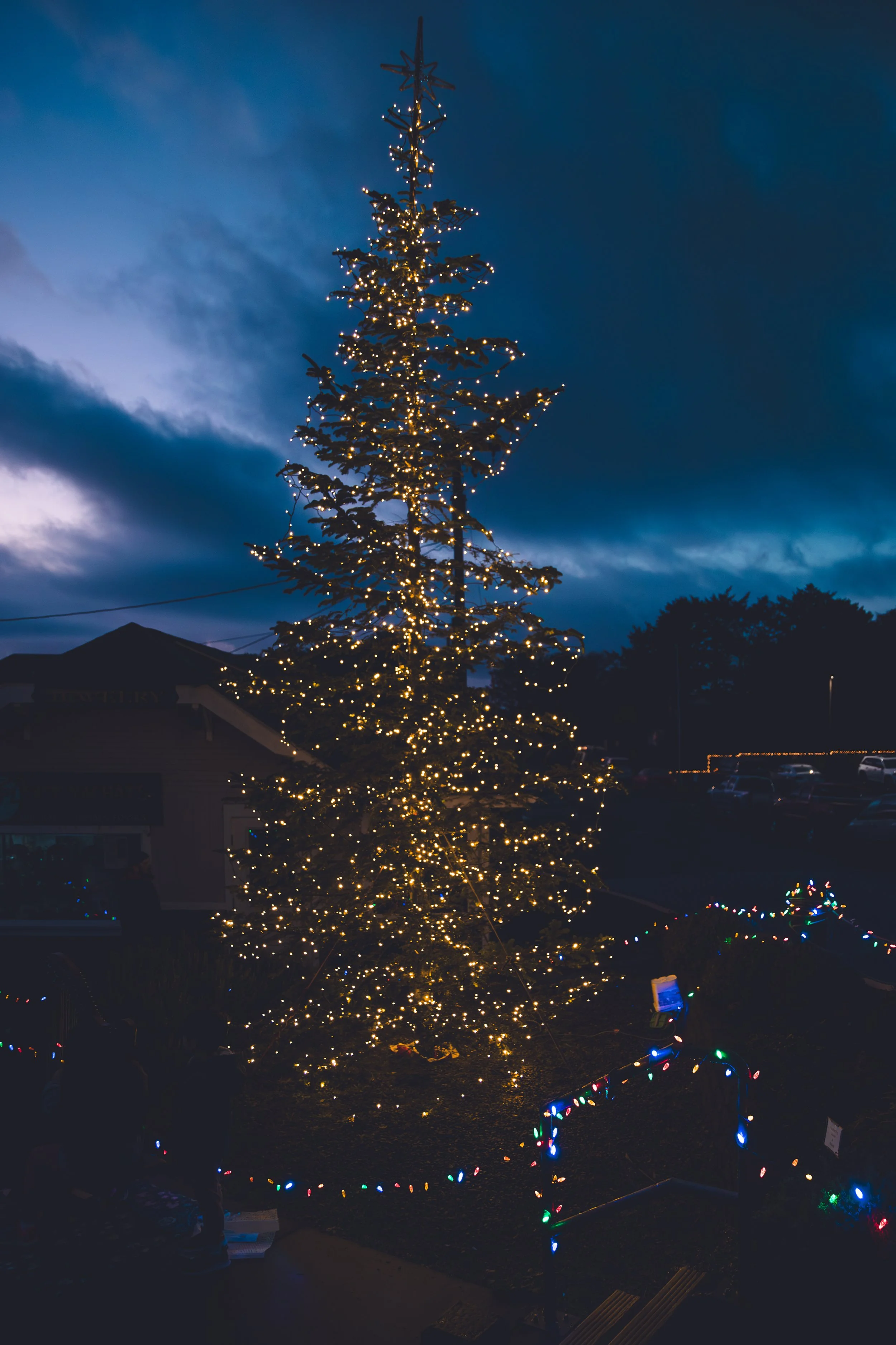 A large Christmas tree decorated with string lights outdoors during twilight, with dark clouds in the sky and colorful string lights on the ground.