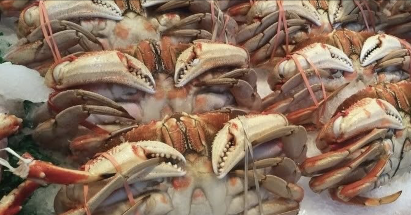 Yachats Lions Club - Crab Feed 