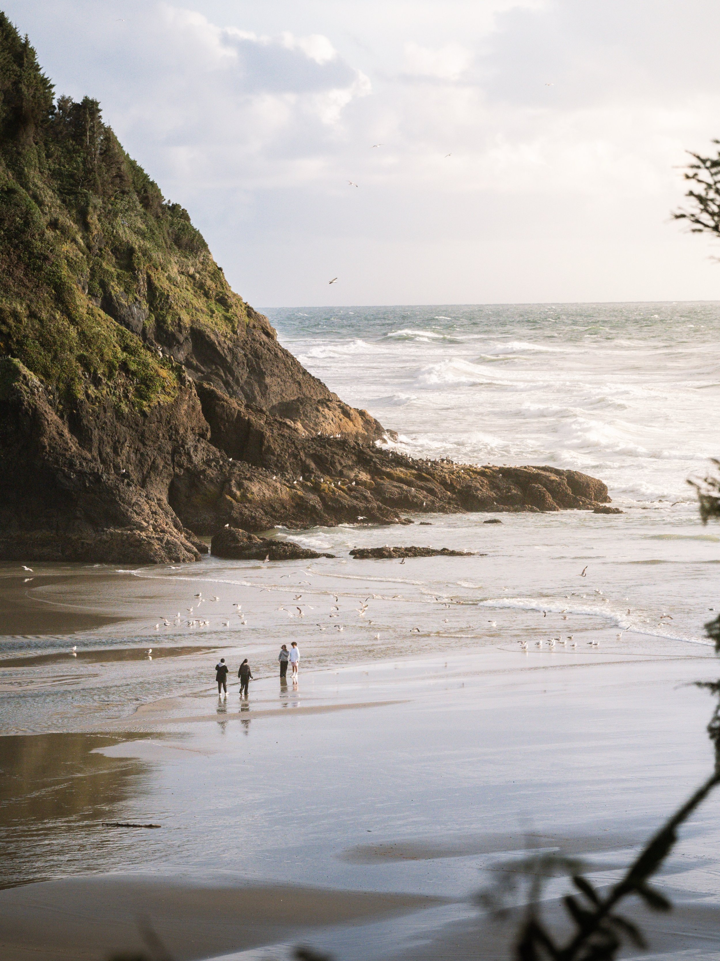 This and nothing else to do. #visityachats
