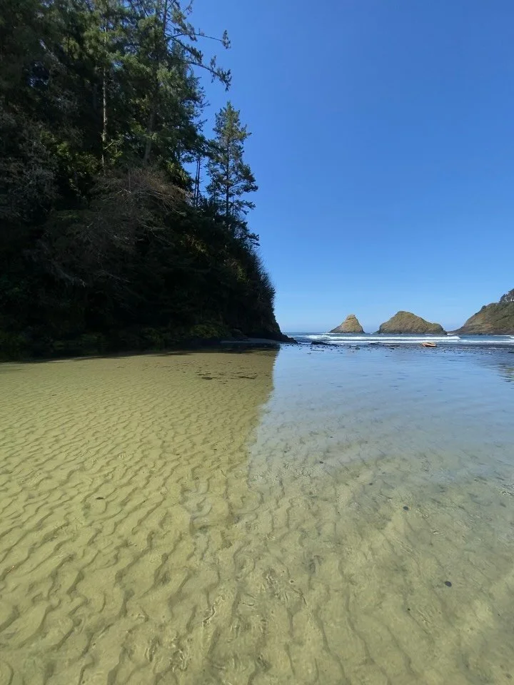 We might be biased, but we love our little stretch of the Oregon Coast. Name that location 👇