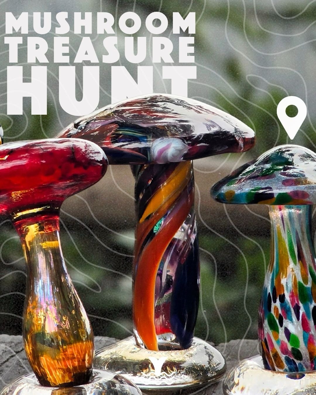 🍄 Mushroom Treasure Hunt Season is back!

This year, we&rsquo;re changing things up.
Every Saturday, clues will drop by 10am, pointing you toward a general area where a special clay disc is hidden. Find one, bring it to the Visitors Center, and trad