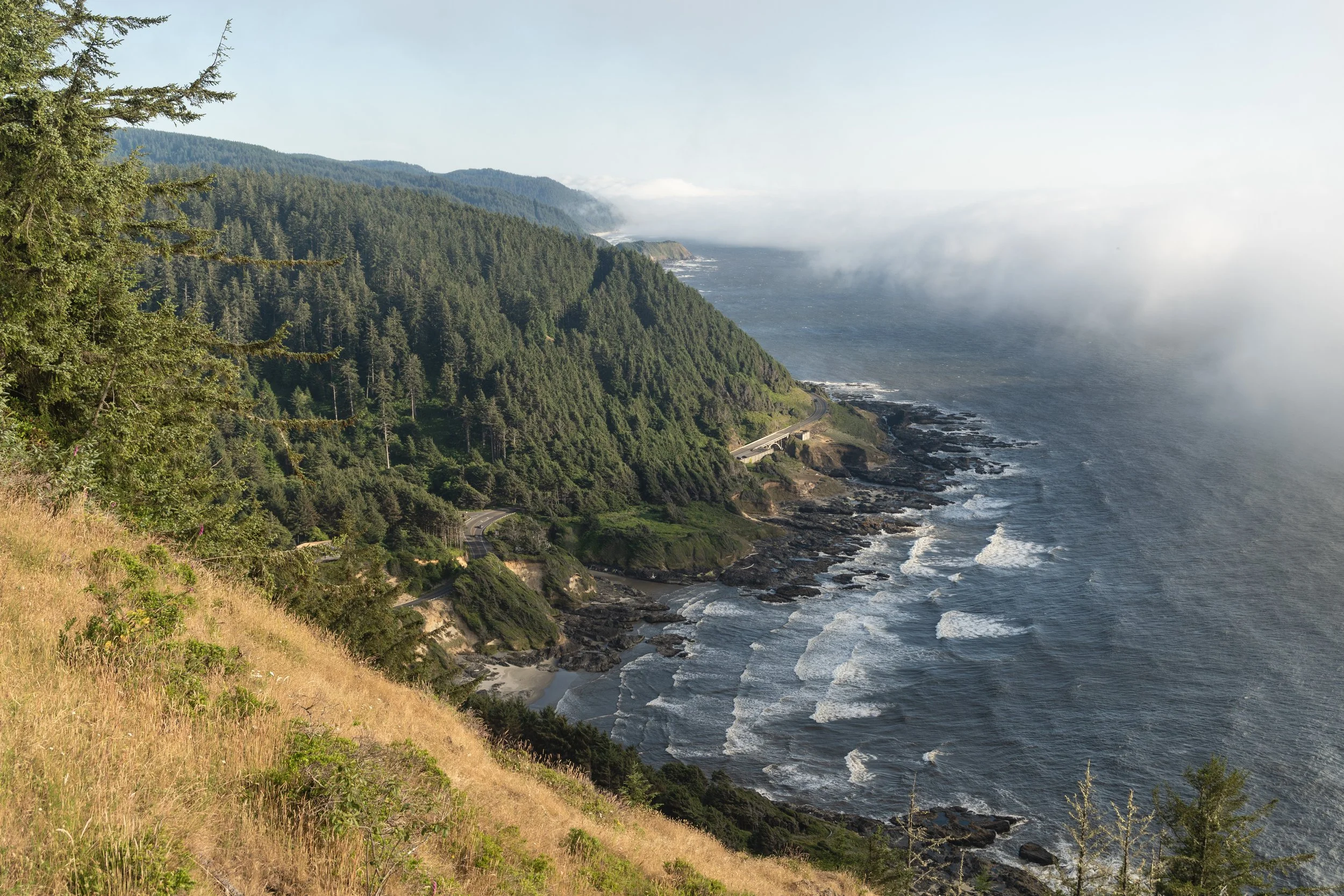 Coastal view of a lush green forest on steep cliffs, winding road along the shoreline, and ocean waves crashing onto rocks, with mist or fog over the water.