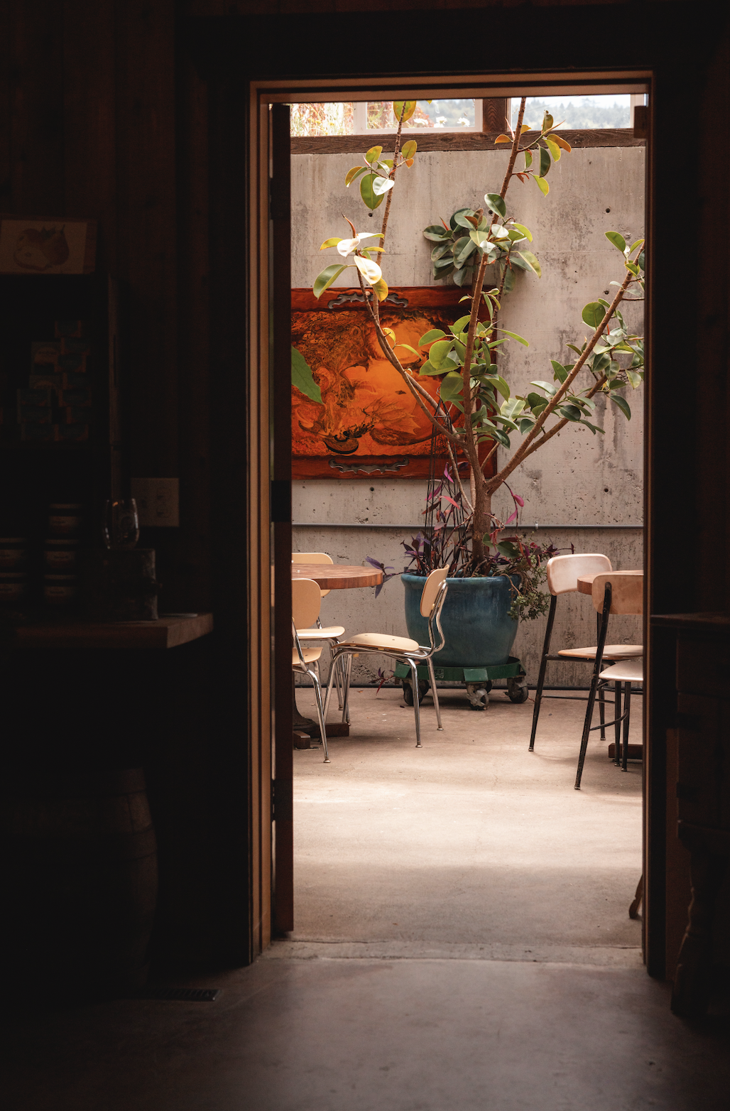 View through a doorway into an outdoor patio with a large potted plant and seating, a textured wall with a large orange painting in the background.