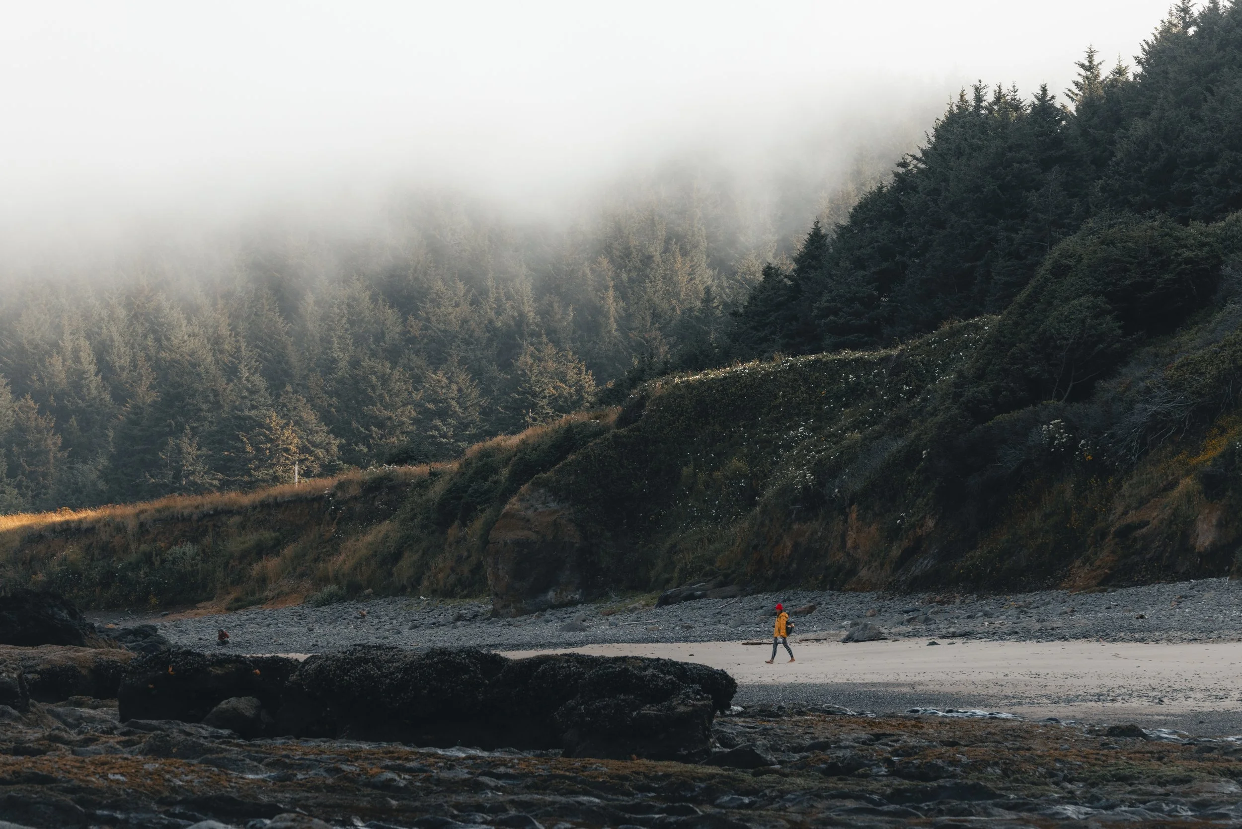 A person walking along a rocky beach with a forested hillside and foggy sky in the background.