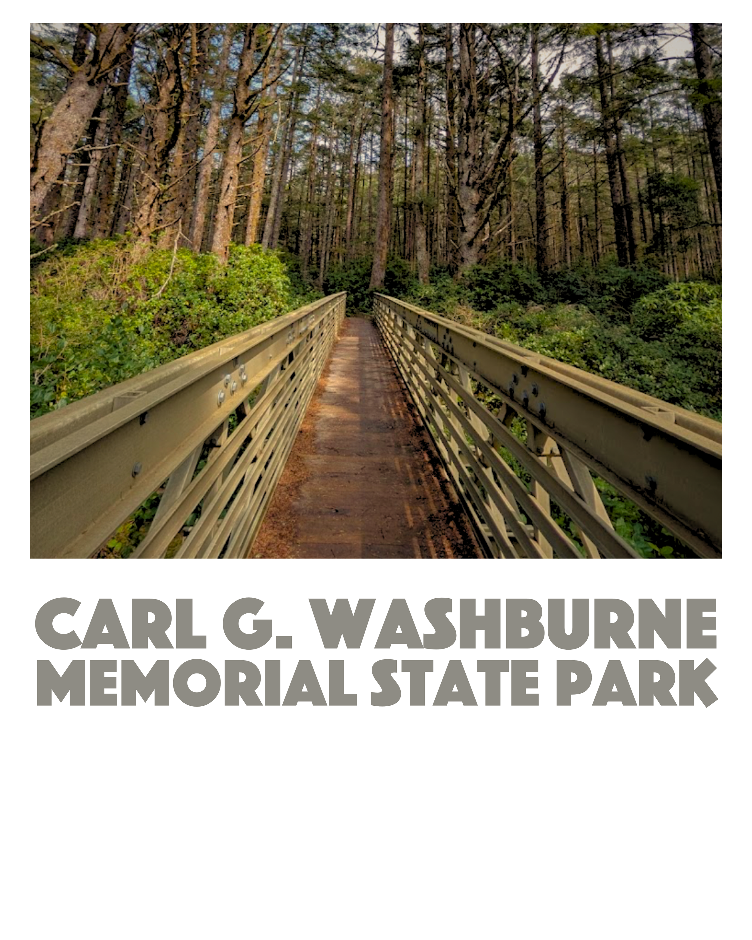 Carl G Washburn Camping Yachats Oregon