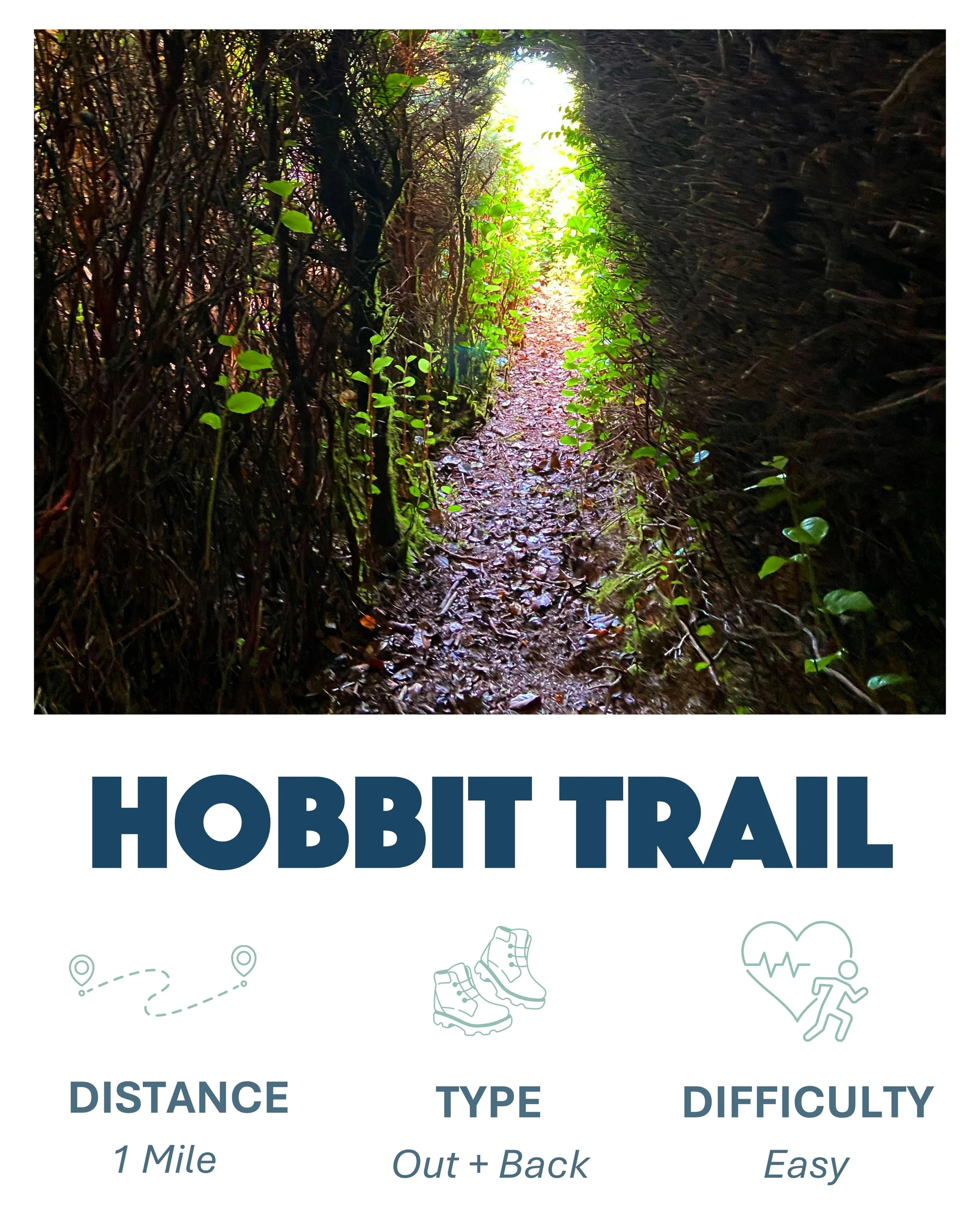 Hobbit Trail hike in Yachats Oregon, 1 Mile, Out and Back, Difficulty-Easy