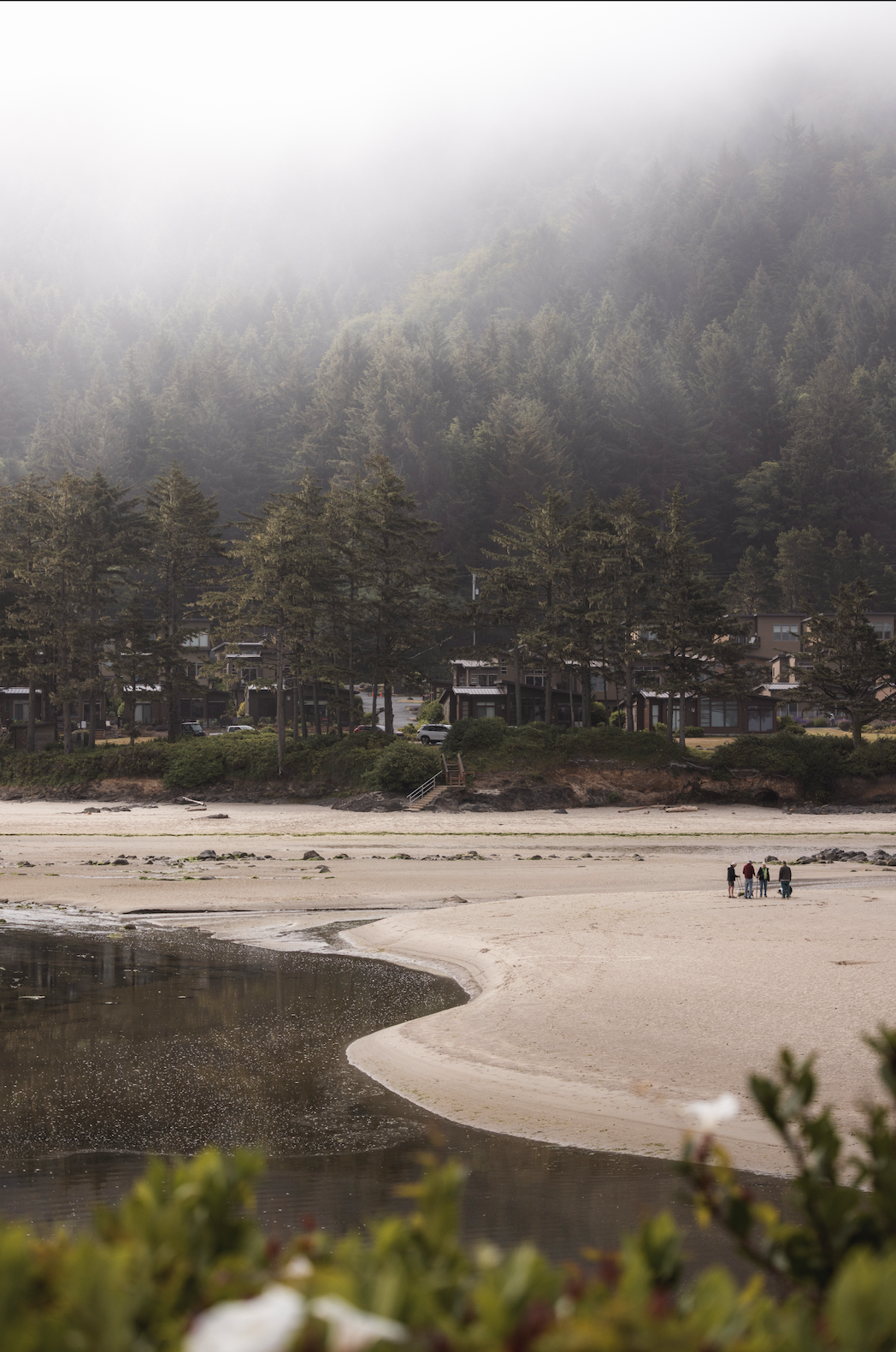 A foggy beach scene with a group of people walking on sandy shore near the water, with houses and tall trees on the hillside in the background.