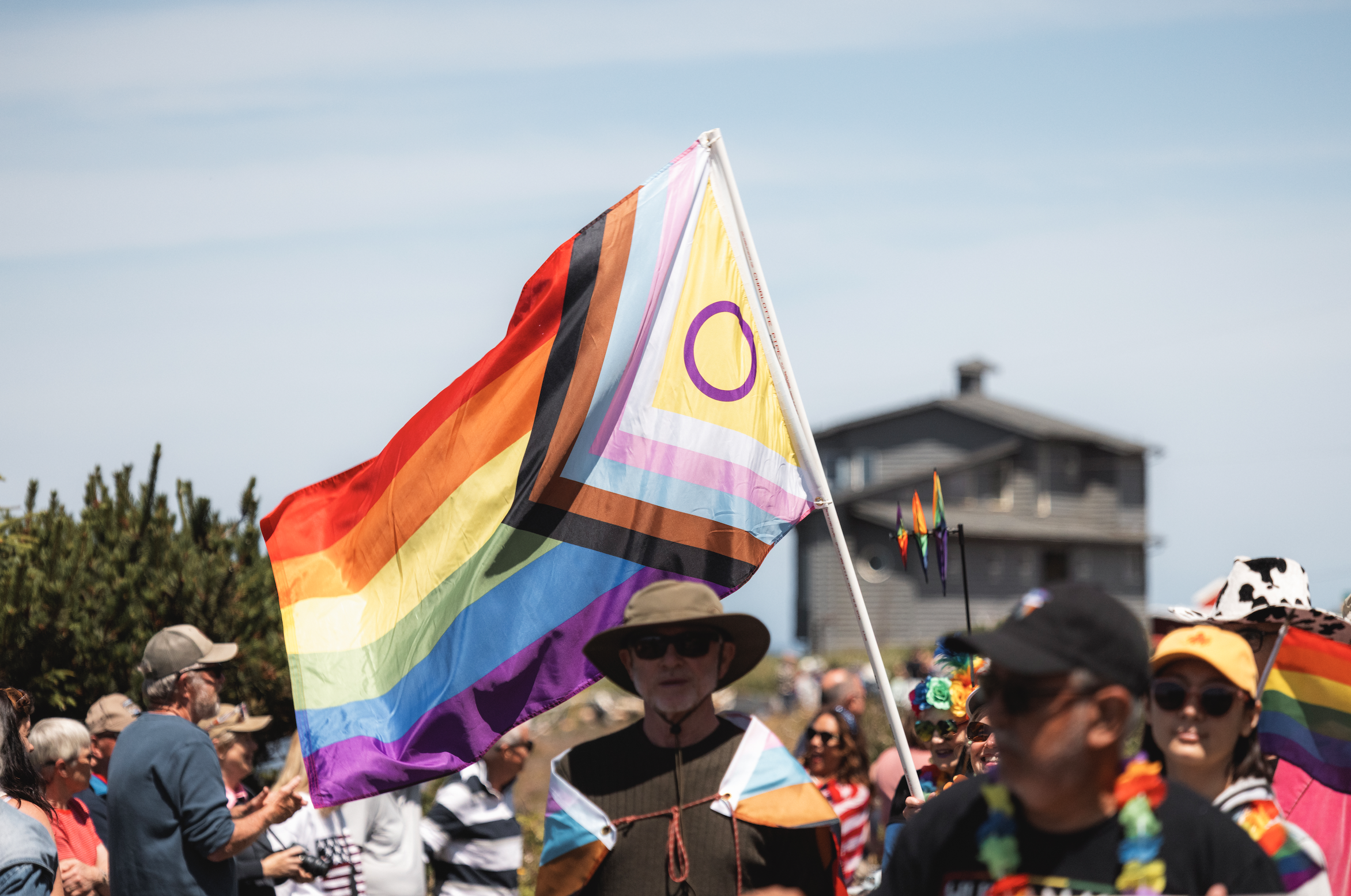 Crowd of people celebrating at a Pride parade with rainbow flags and colorful clothing, with a large rainbow flag prominently displayed.