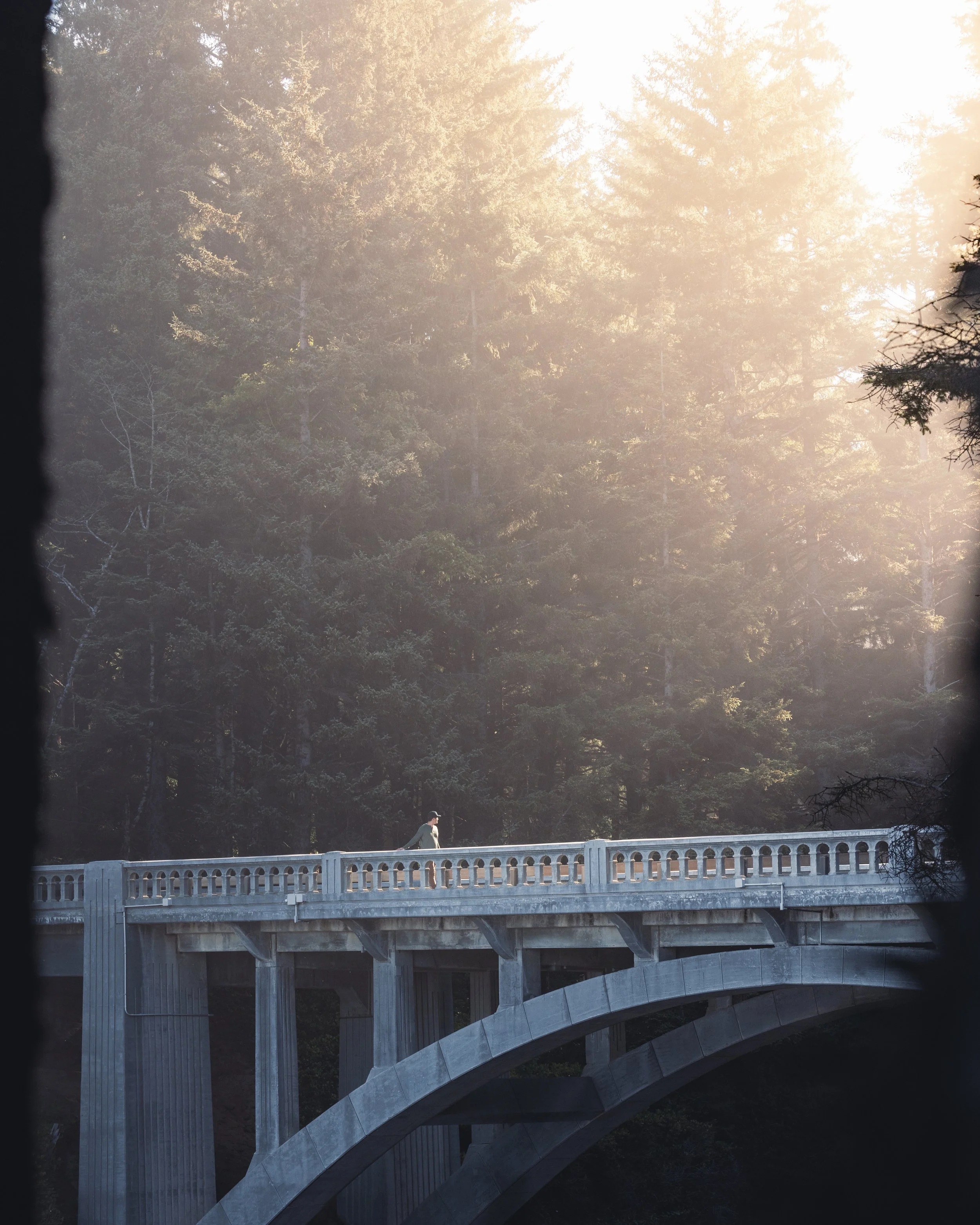 A person walking on a bridge in a forest during sunrise with sunlight filtering through the trees.