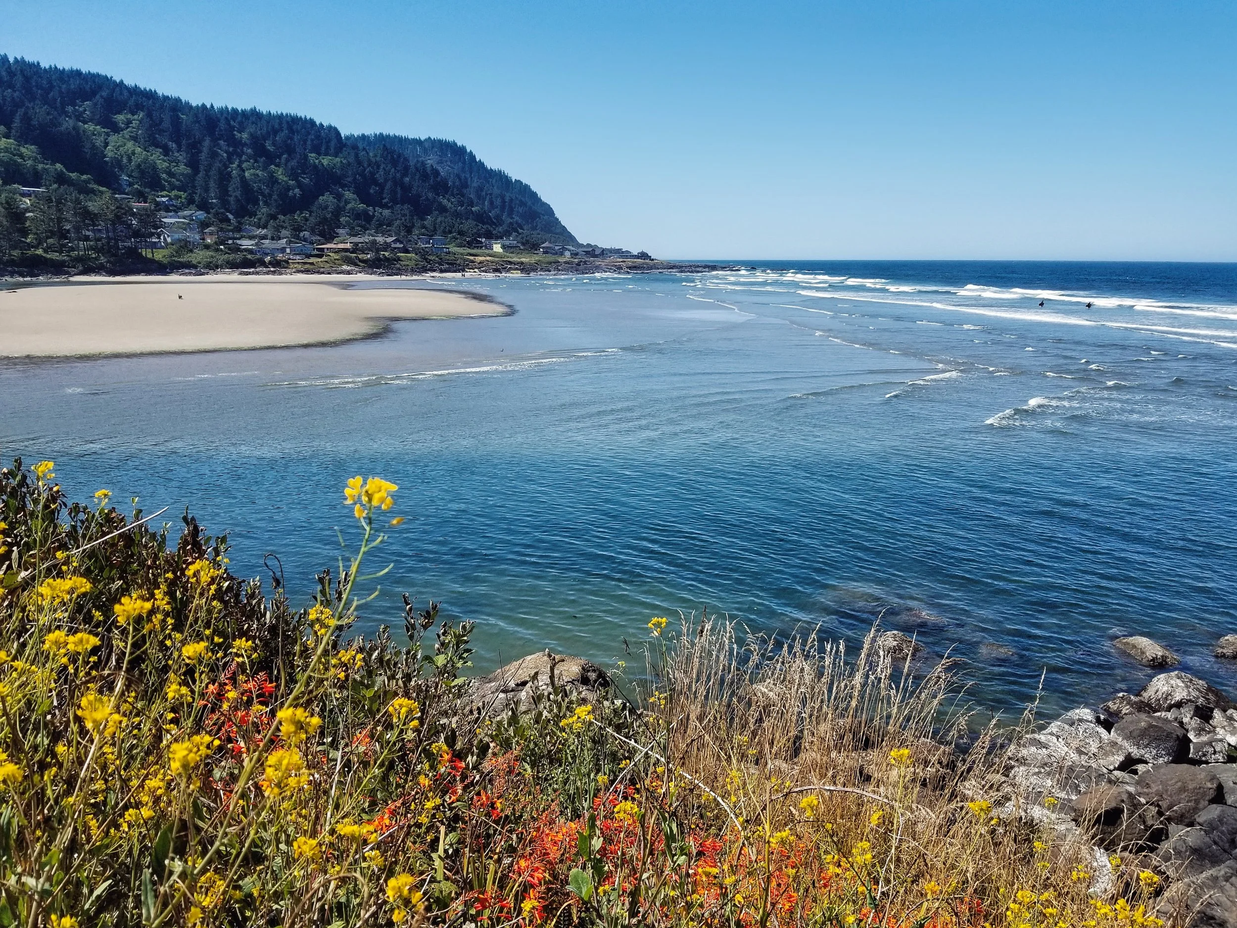 Ocean coastline with sandy beach, blue water, rocky shoreline, and green forested hills in the background under clear blue sky.