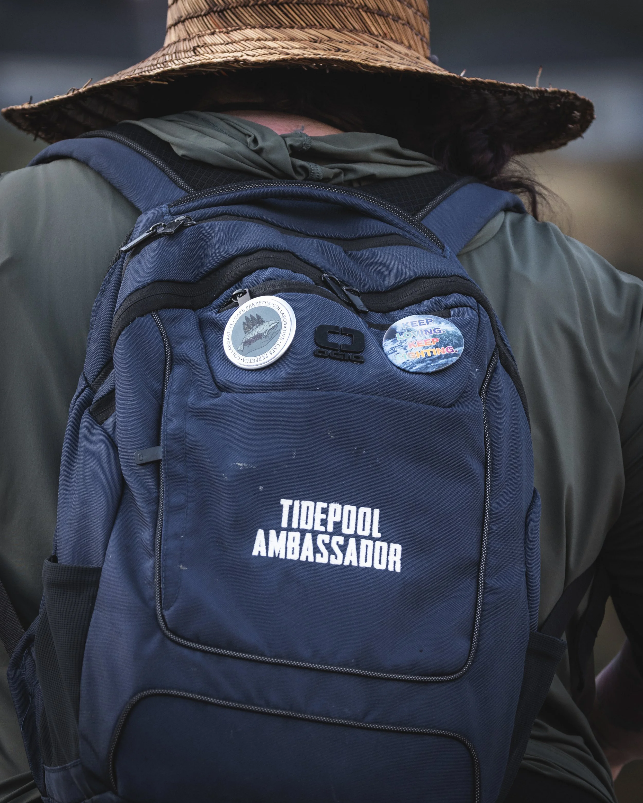 Close-up of a person wearing a straw hat and a dark jacket with a blue backpack that has "Tidepool Ambassador" written on it, along with two pins attached to the straps.