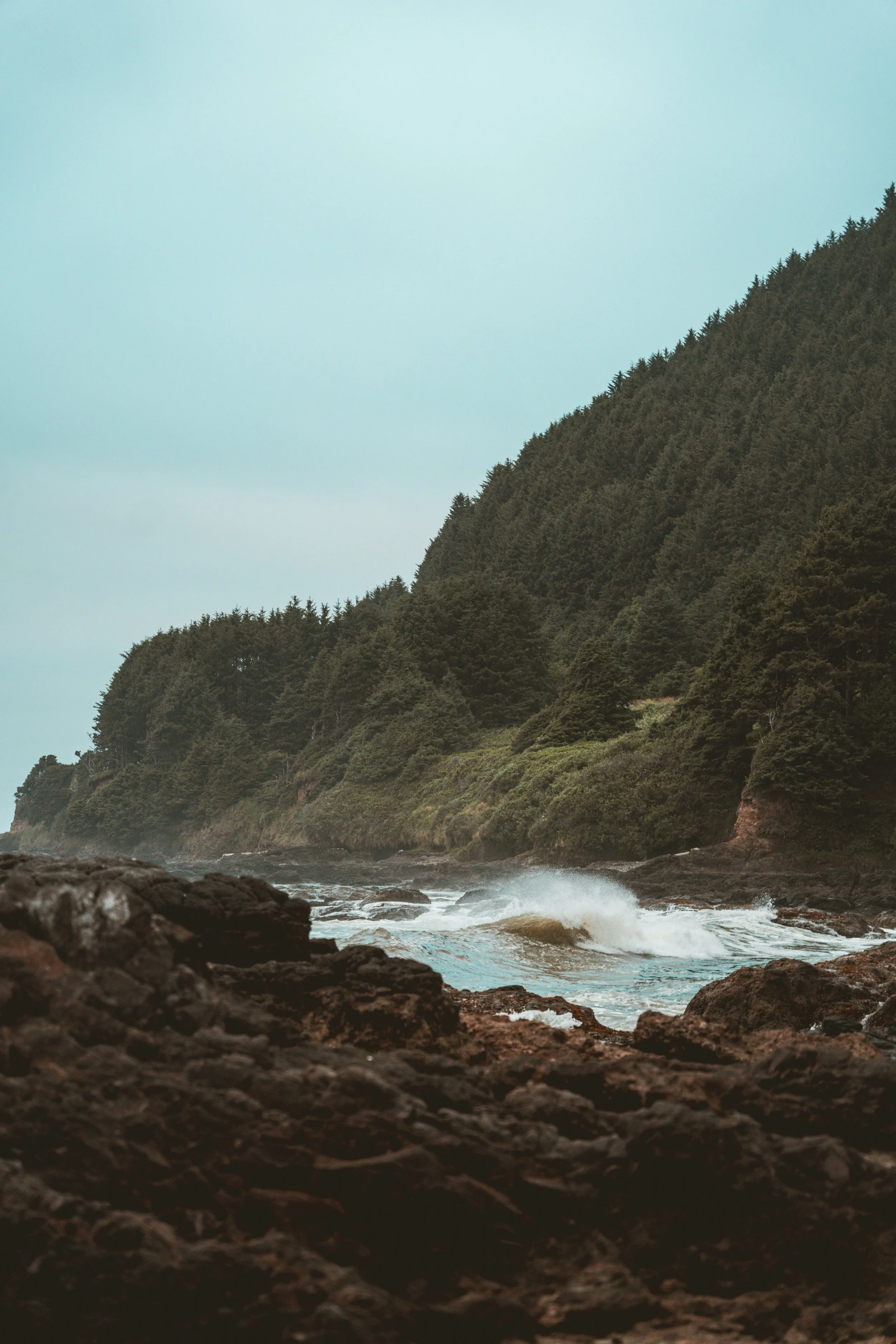 Coastline with rocky shore, ocean waves, and forested hills in the background.