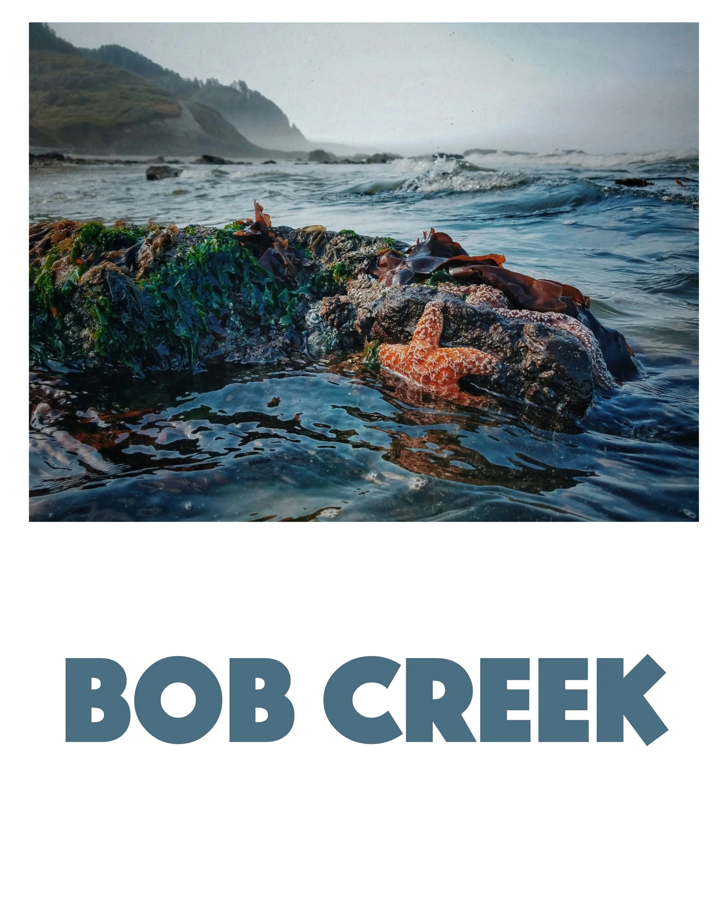 Bob Creek Tide Pools Yachats Oregon