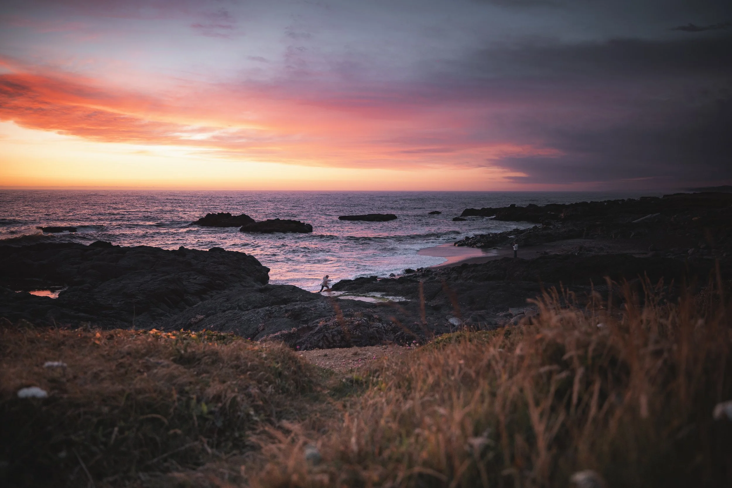 Sunset over the ocean with pink, purple, and orange sky, rocky shoreline, and grassy foreground.