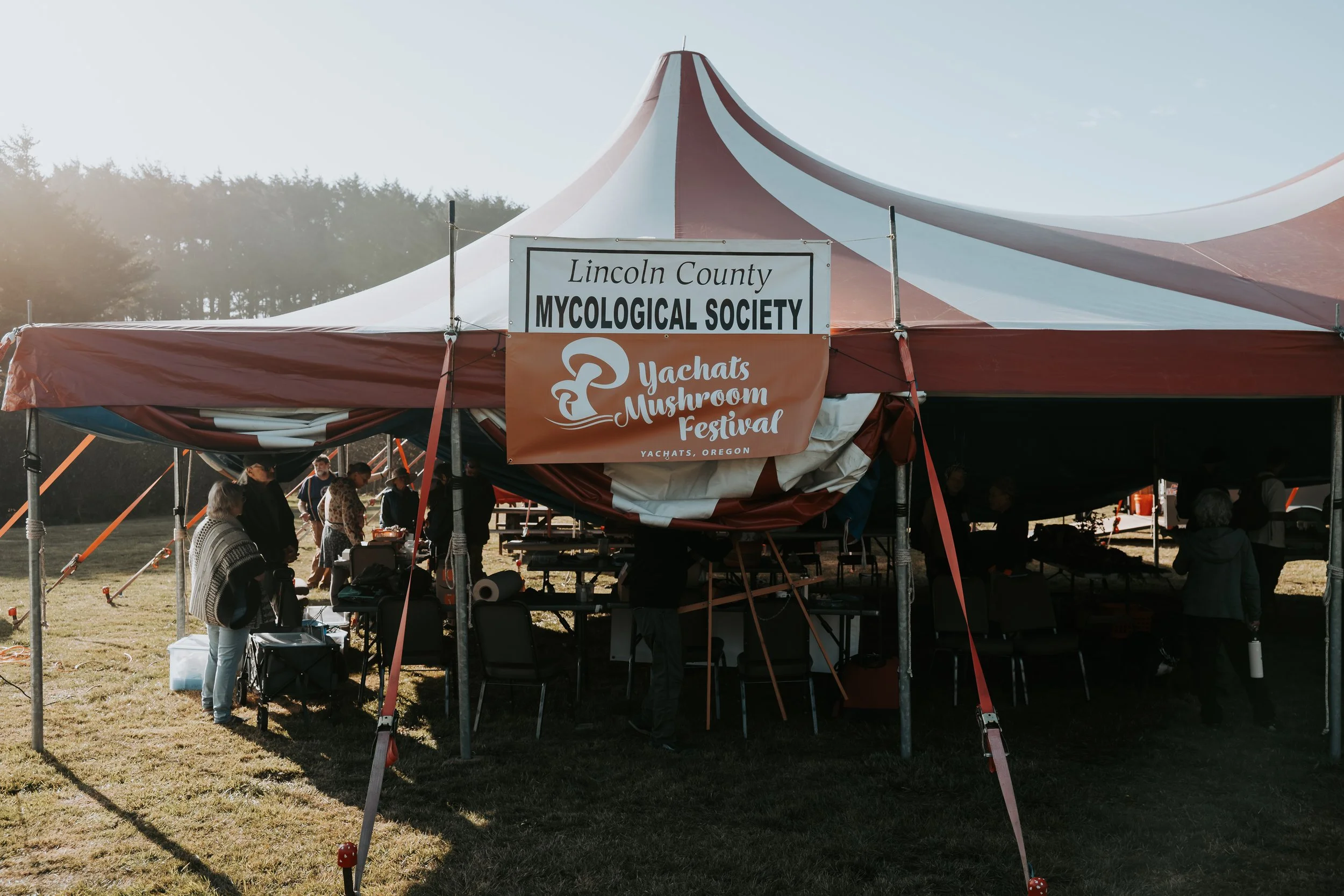 A large red and white striped tent at the Yachats Mushroom Festival in Yachats, Oregon, with a sign for the Lincoln County Mycological Society. People are gathered inside and around the tent, some standing and some seated, with tables and chairs visi