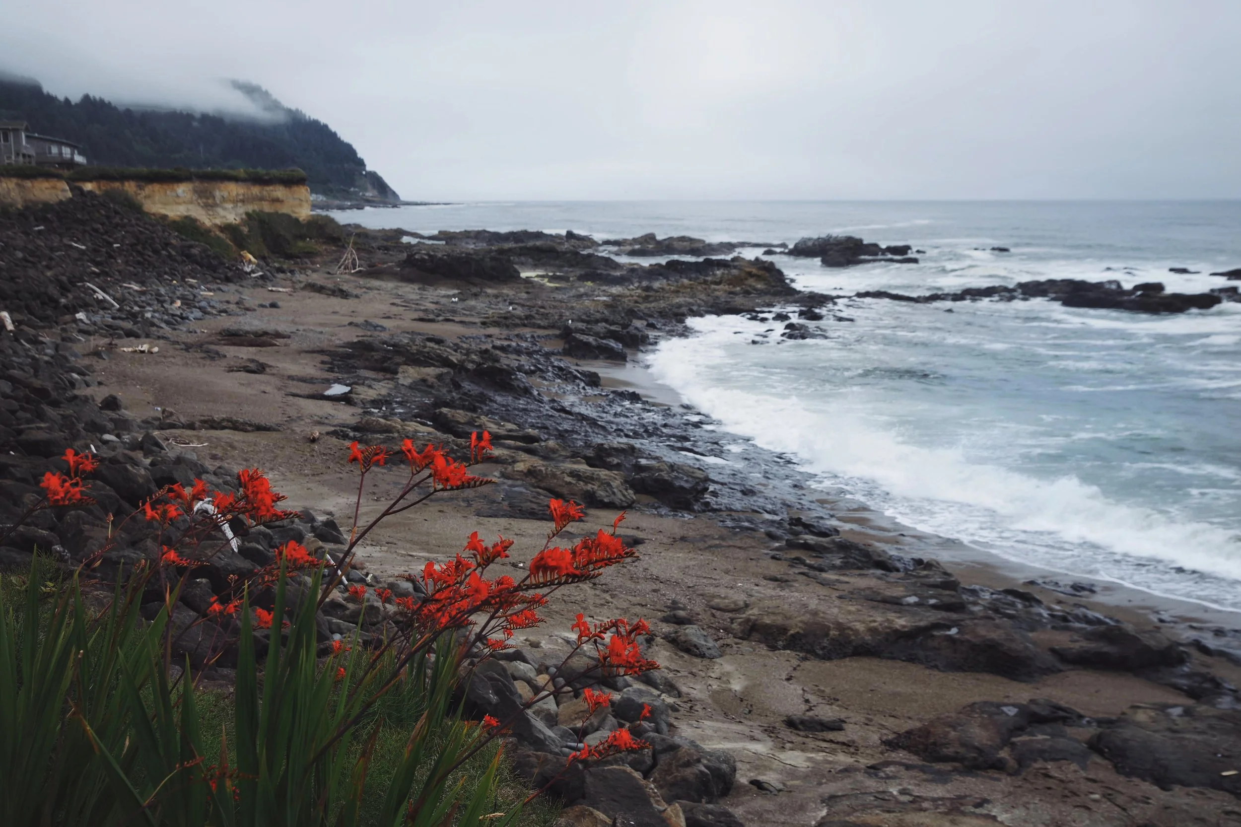 A rocky beach with red flowers in the foreground and an ocean under a cloudy sky in the background.