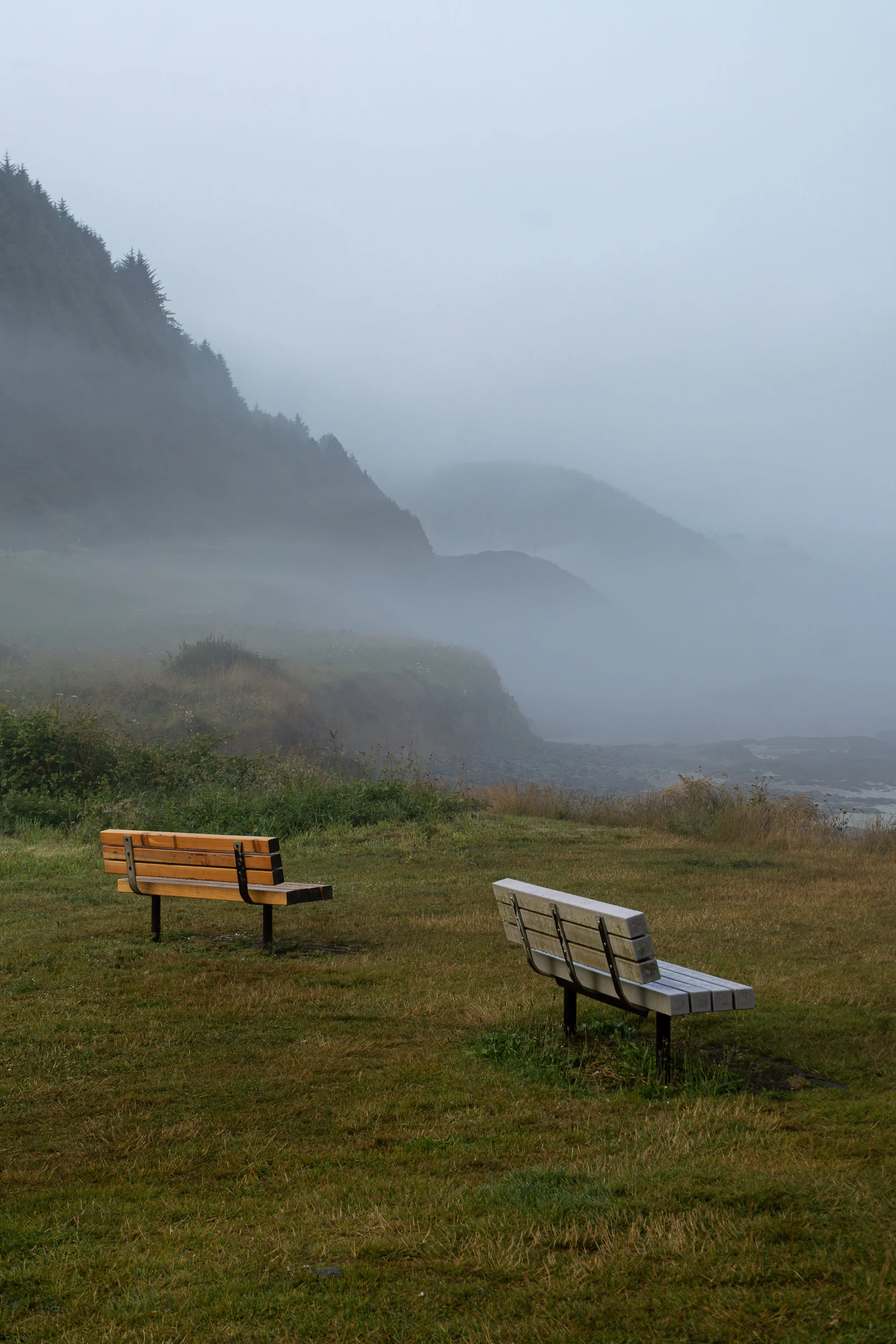 Two empty benches on a grassy area overlooking a foggy coastline with cliffs and vegetation.