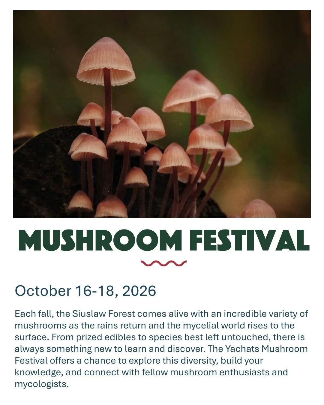 Mushroom Festival in Yachats Oregon