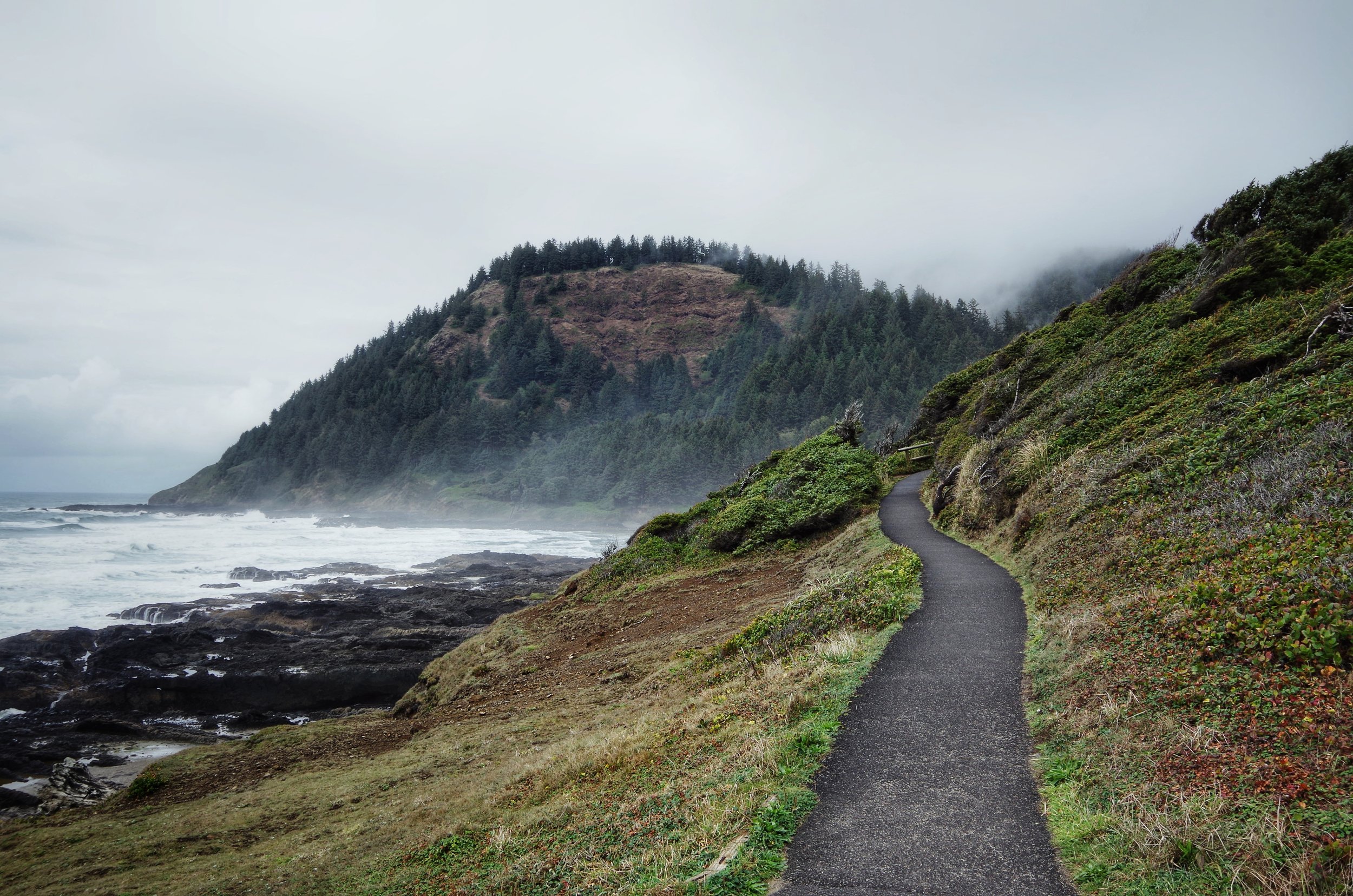 A winding pathway along a grassy hillside overlooking the ocean, with large rocks in the water and a forested mountain in the distance, under a cloudy sky.