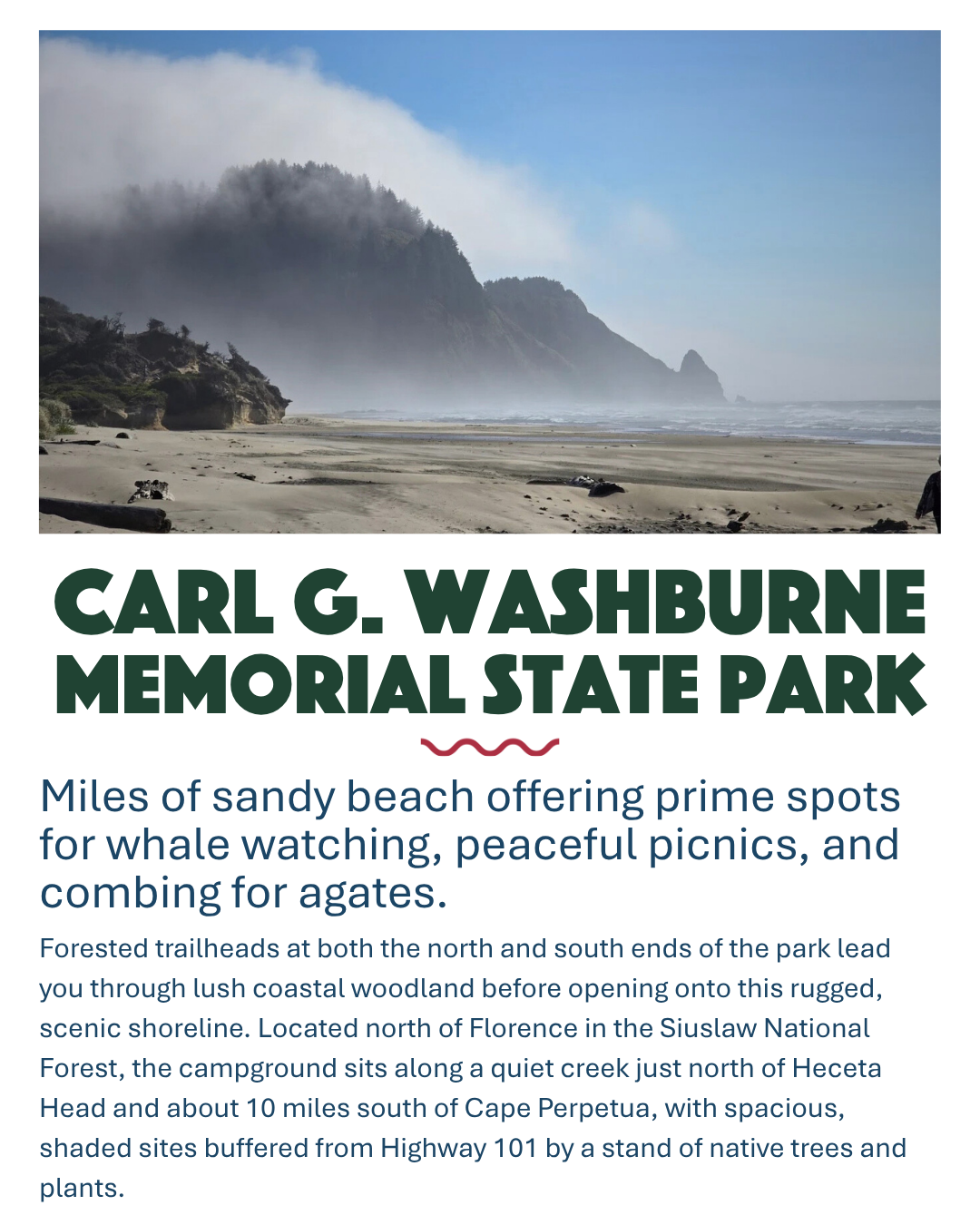 Carl G Washburn Memorial State Park in Yachats Oregon. Miles of sandy beach offering prime spots for whale watching, peaceful picnics, and combing for agates.