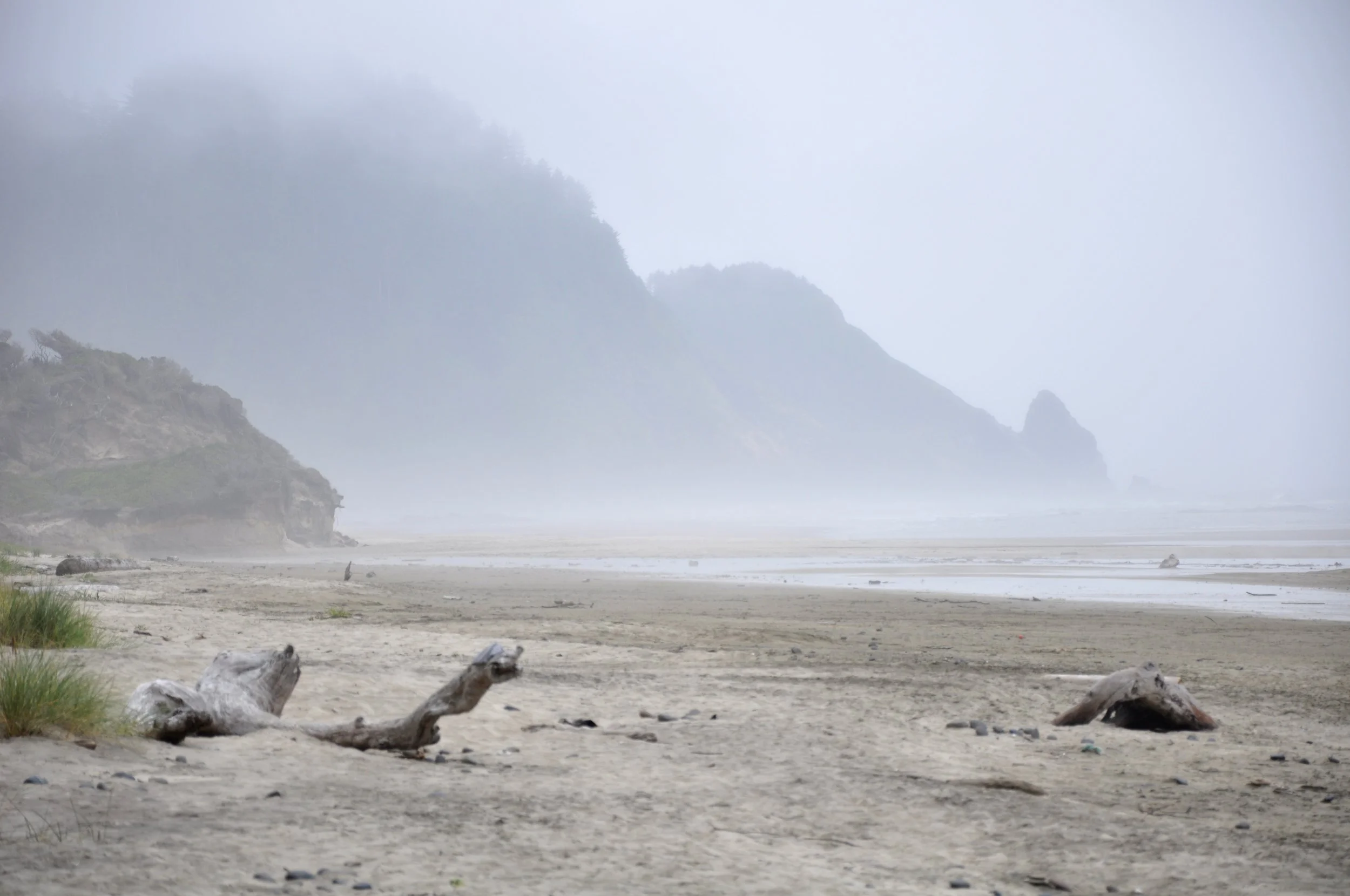 A foggy beach scene with sand dunes and driftwood, with distant cliffs shrouded in mist.