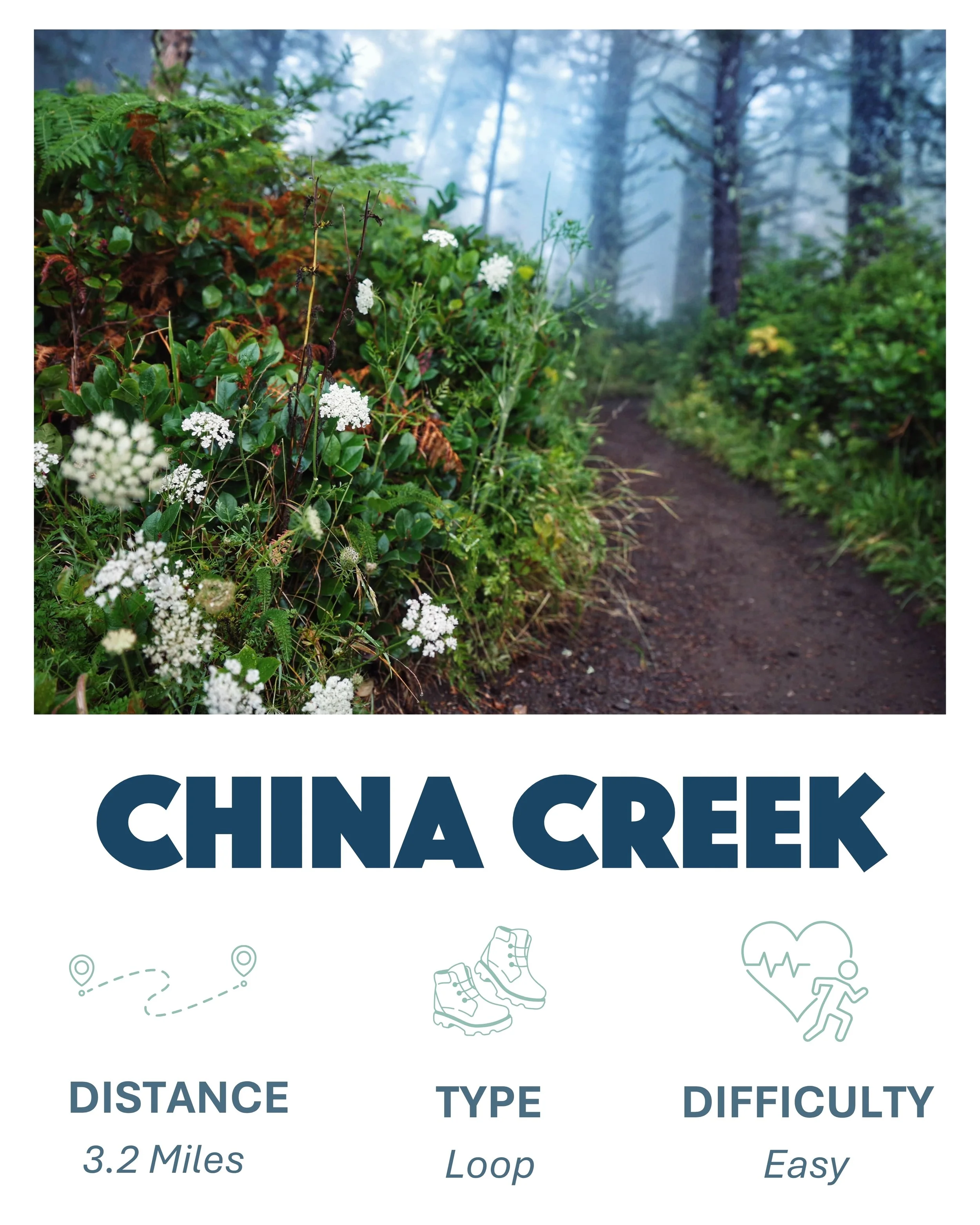 China Creek Hike in Yachats Oregon, 3.2 Miles,  Loop, Difficulty- Easy