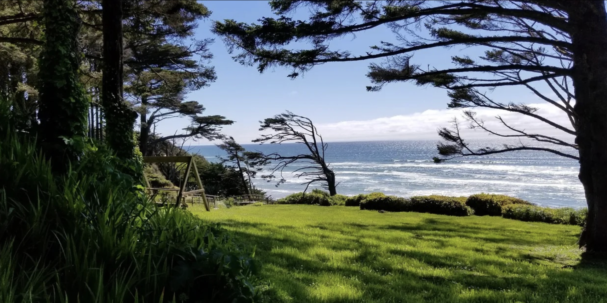 A scenic view of a grassy yard with trees and a wooden swing, overlooking the ocean on a sunny day with clear skies.