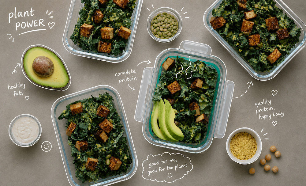 vegan protein meals