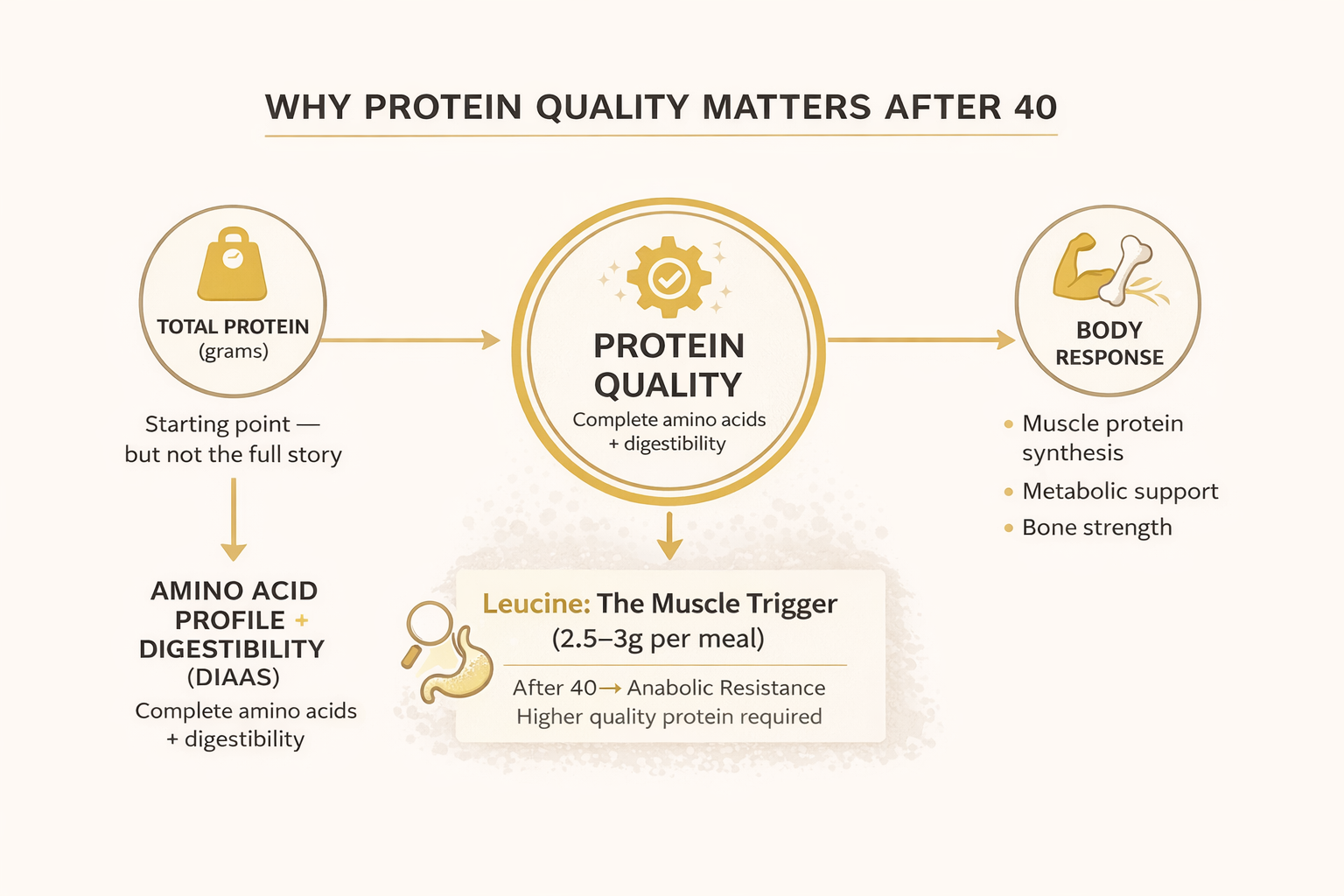 what-is-protein-quality-concept-map