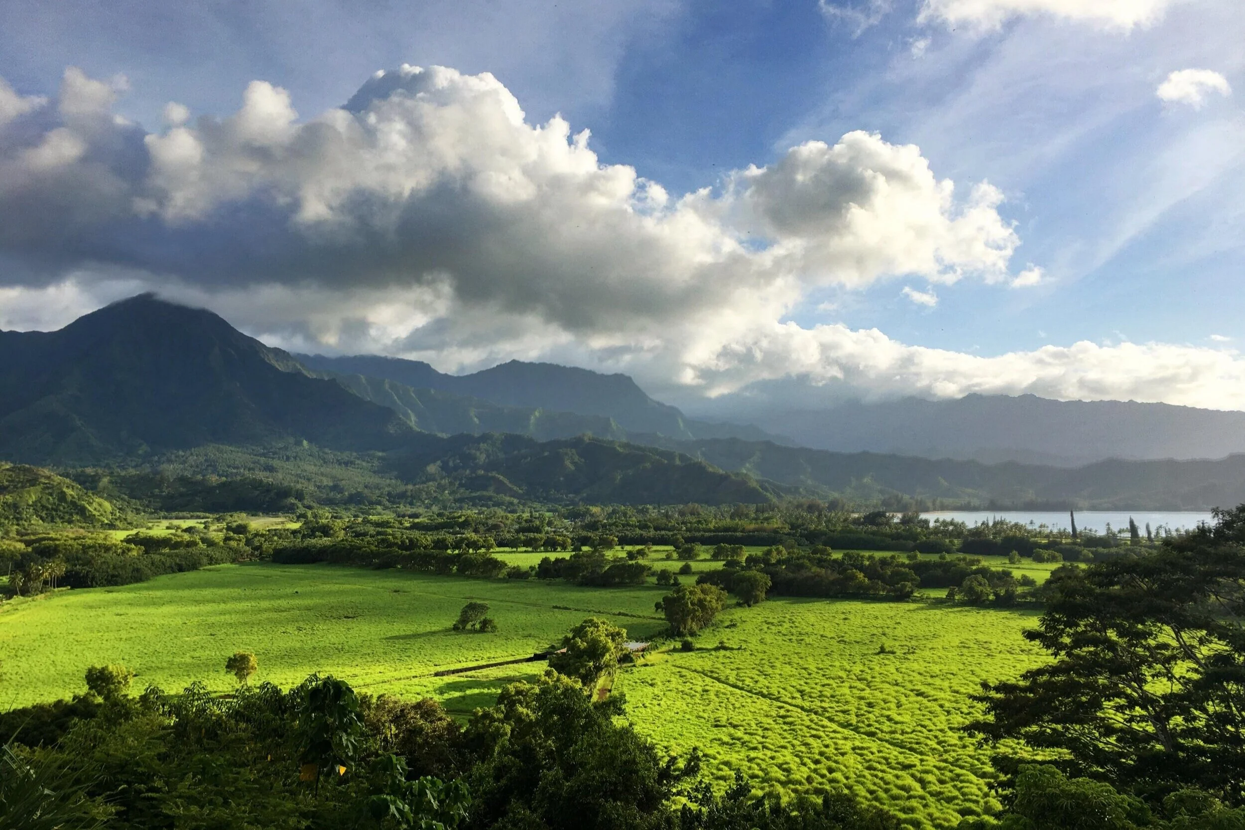 Lush green fields and trees in a valley with mountains in the background under a partly cloudy sky.