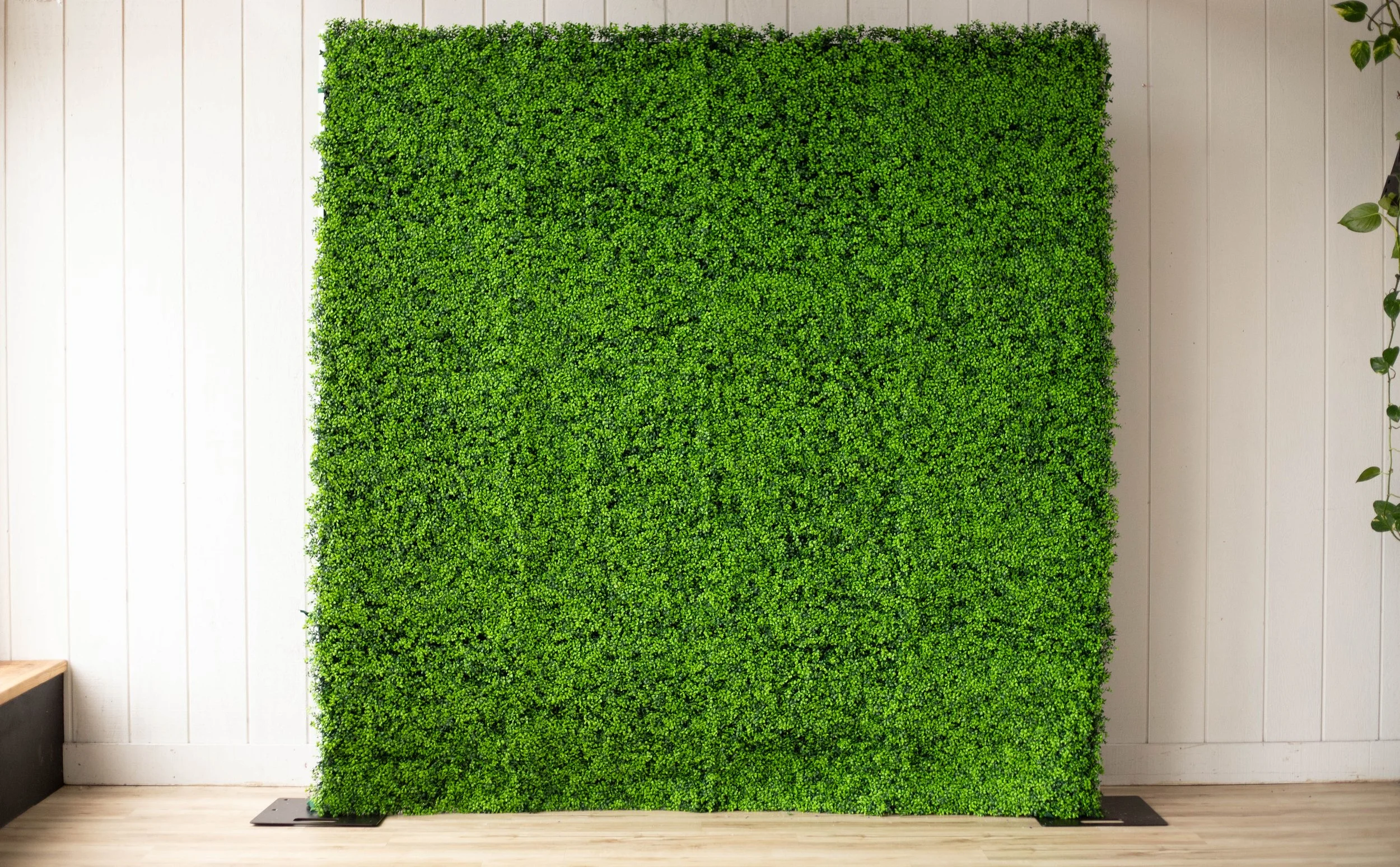 The Green Wall: A dense, vibrant greenery wall that brings a fresh, modern energy to any event. 
(photo by JLC Photography)