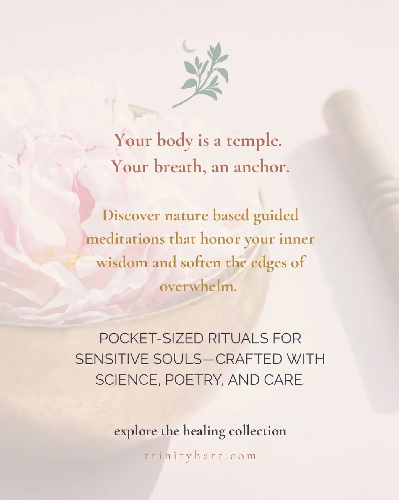 Beauty, your body is a temple. Your breath, an anchor. 

Discover guided meditations that honor your inner wisdom and soften the edges of overwhelm.

🌸 Crafted for sensitive women living with chronic health challenges and pain, anxiety, or overwhelm
